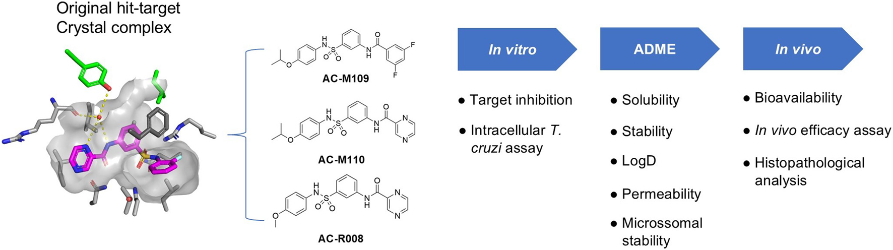 Molecular structure of an original hit-target crystal complex is shown. Three chemical structures labeled AC-M109, AC-M110, and AC-R008 are displayed. Evaluation categories are divided into “In vitro” (target inhibition, Intracellular T. cruzi assay), “ADME” (solubility, stability, LogD, permeability, microsomal stability), and “In vivo” (bioavailability, in vivo efficacy assay, histopathological analysis).