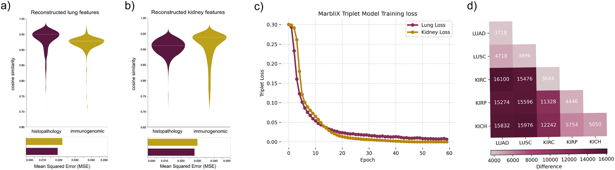 Violin plots in panels a and b show cosine similarity of reconstructed lung and kidney features, respectively, for histopathology and immunogenomic data. Panel c illustrates a line graph of triplet loss over 60 epochs for lung and kidney models. Panel d is a heatmap displaying differences across various categories, LUAD, LUSC, KIRC, KIRP, and KICH.