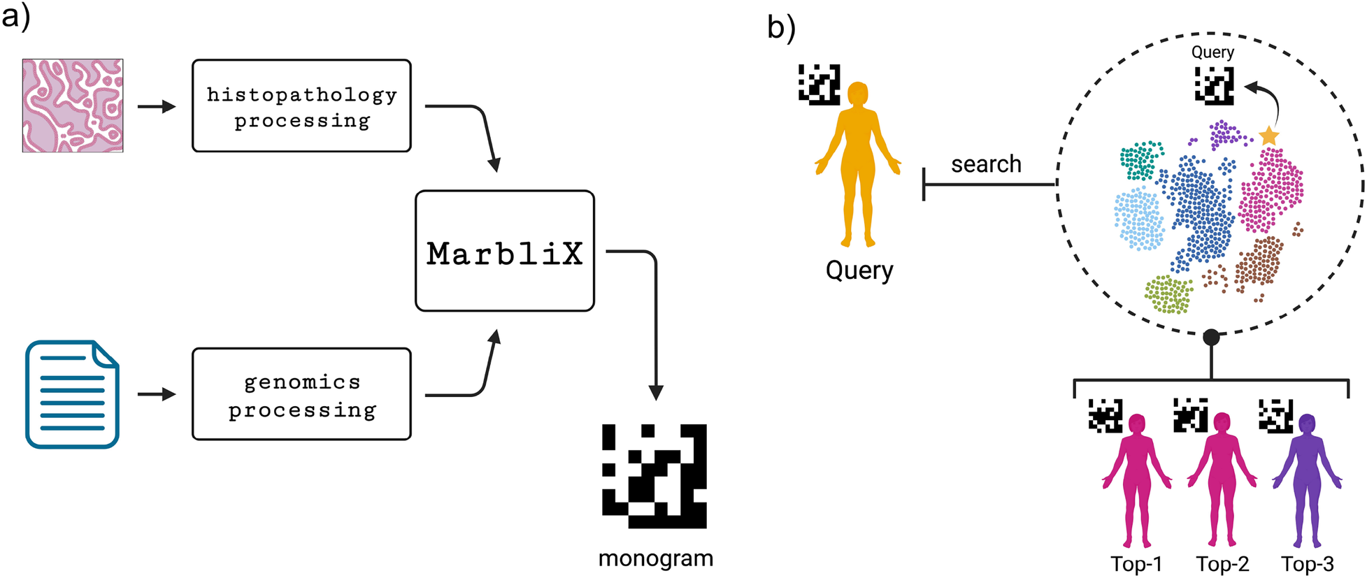 Diagram depicting a two-part framework. Part a) shows \"histopathology processing\" and \"genomics processing\" flowing into \"Marblix,\" which outputs a monogram. Part b) illustrates a \"query\" initiated by a human figure with a monogram leading to a search process. A dotted circle contains colored clusters symbolizing data points. Below the circle are \"Top-1,\" \"Top-2,\" and \"Top-3\" results, represented by human silhouettes with corresponding monograms.