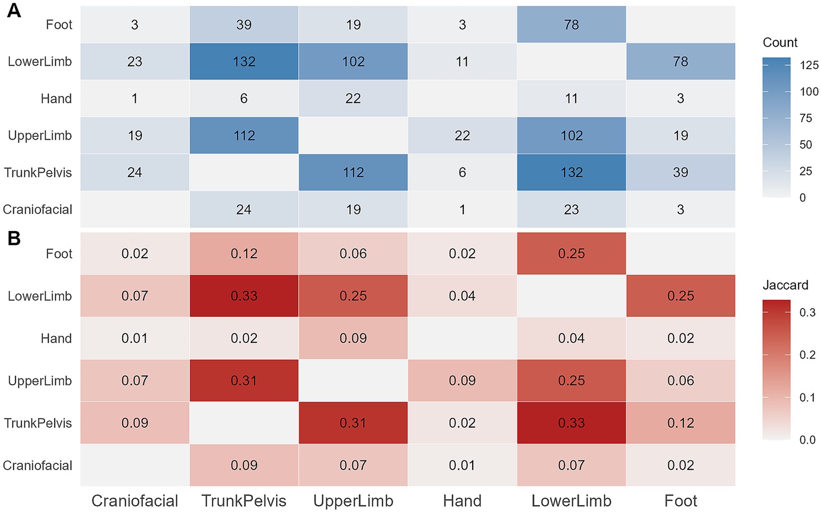 Two heatmaps labeled A and B display data comparisons across categories: Foot, LowerLimb, Hand, UpperLimb, TrunkPelvis, and Craniofacial. Heatmap A uses blues to indicate count values, with darker shades representing higher counts. Heatmap B uses reds for Jaccard index values, where darker red indicates higher values. Color bars representing Count and Jaccard are on the right side of each respective heatmap.