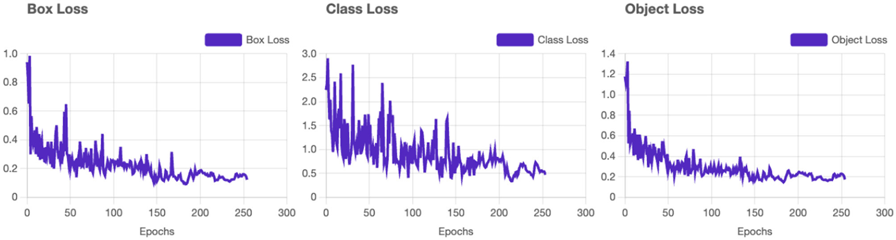 Three line charts display loss metrics across epochs: Box Loss, Class Loss, and Object Loss. Box Loss decreases steadily from 1.0, Class Loss fluctuates before stabilizing below 0.5, and Object Loss sharply drops to stabilize under 0.3. Each chart spans 300 epochs.