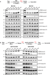 www.frontiersin.org