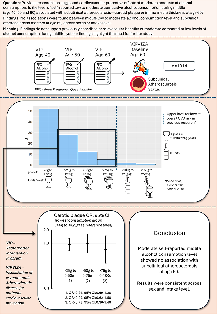 Research graphic examining the link between midlife alcohol consumption and subclinical atherosclerosis at age 60. The study, involving 1,014 participants, uses Food Frequency Questionnaires from ages 40, 50, and 60. A bar chart illustrates weekly alcohol consumption categories with the highest consumption indicating potential cardiovascular risk. A graph shows carotid plaque odds ratios across alcohol consumption levels. The conclusion states that moderate alcohol intake during midlife does not associate with subclinical atherosclerosis at age 60, consistent across sexes and intake levels.