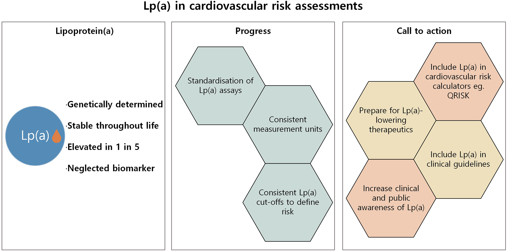 Diagram titled \"Lp(a) in cardiovascular risk assessments\" divided into three sections. The first section, Lipoprotein(a), highlights that it is genetically determined, stable throughout life, elevated in one in five people, and a neglected biomarker. The second section, Progress, includes standardization of Lp(a) assays, consistent measurement units, and consistent cutoffs to define risk. The third section, Call to Action, suggests including Lp(a) in risk calculators, preparing for Lp(a)-lowering therapeutics, incorporating Lp(a) in clinical guidelines, and increasing awareness.