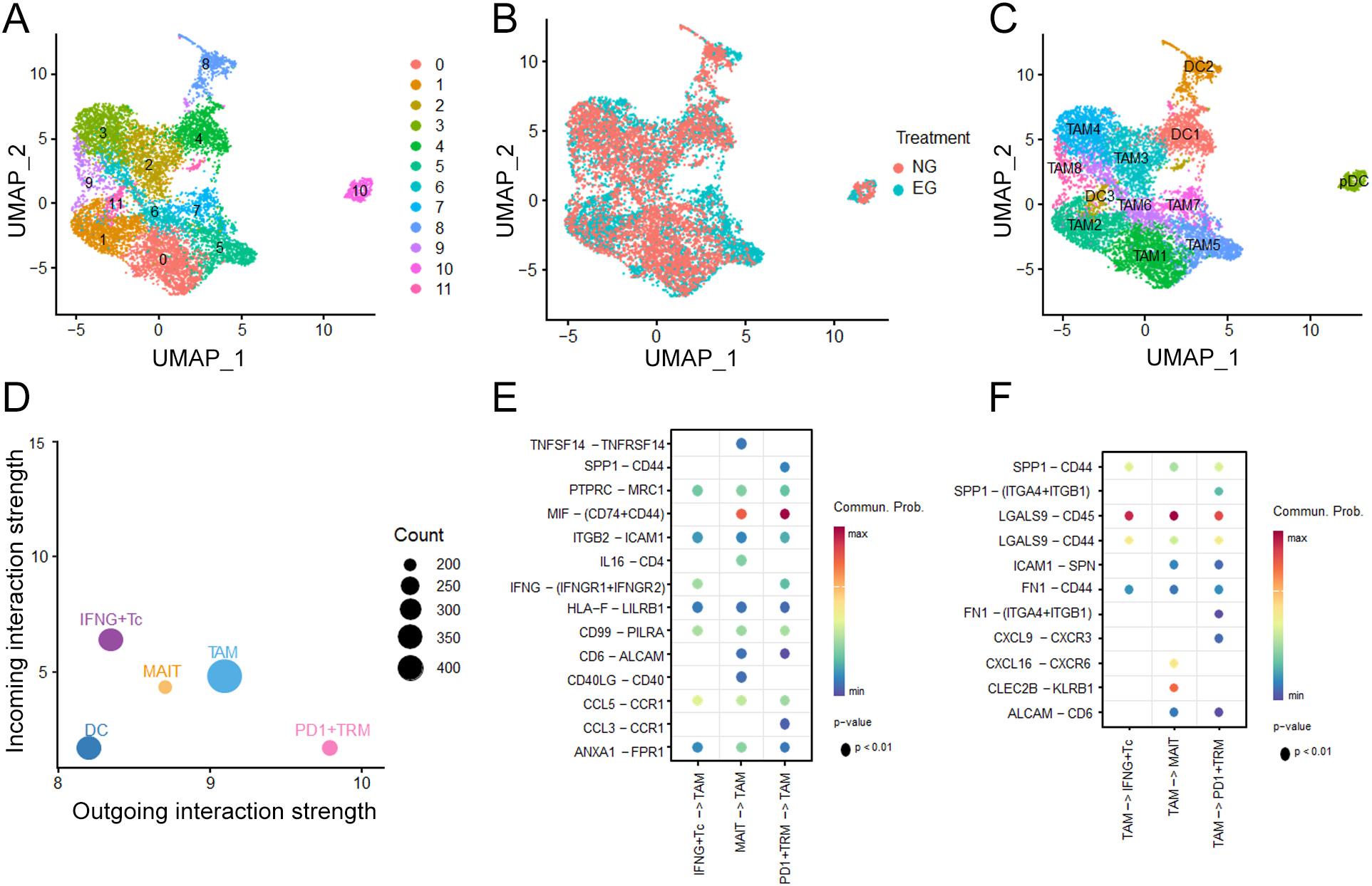 Six-panel figure illustrating UMAP plots and interaction analysis. Panels A, B, and C show UMAP plots of cell clusters with different color codings for cluster identification, treatment groups, and cell types. Panel D is a scatter plot of incoming vs. outgoing interaction strength with sizes indicating count. Panels E and F are dot plots showing communication probabilities between cell types, with color gradients indicating probability levels and size indicating statistical significance.