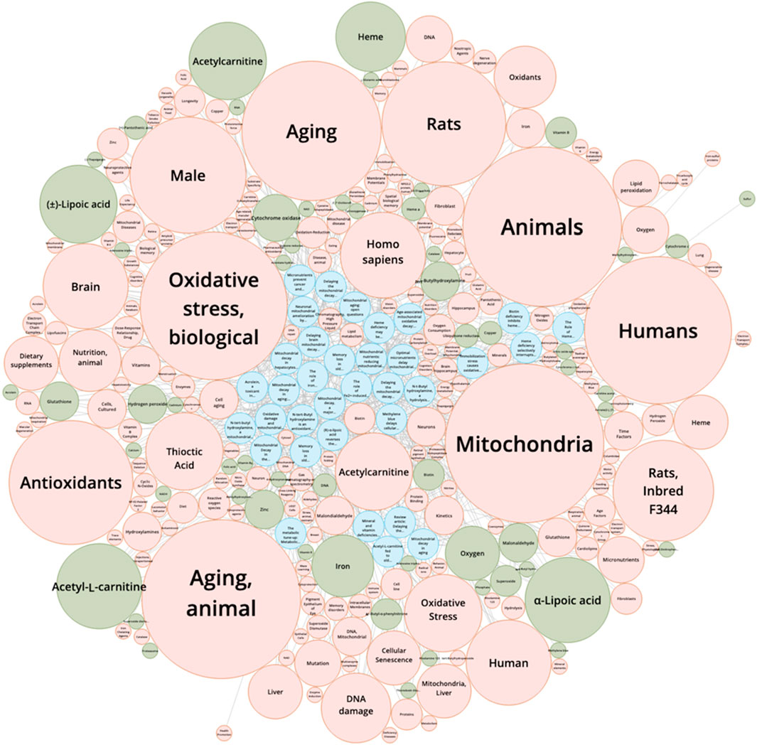 This knowledge graph maps relationships among key references, chemical substances, and scientific concepts identified from a SciFinder search using the terms Bruce Ames, mitochondria, and aging. Blue nodes denote pivotal articles, including Ames’s foundational works (1973, 1993) and related studies on mitochondrial mutagenicity. Green nodes represent relevant antioxidants and micronutrients linked to Ames’s triage theory, while orange nodes indicate core concepts such as oxidative stress and aging mechanisms. The connecting edges show literature-based co-occurrences, revealing how Ames’s research interrelates with chemical modulators, mitochondrial biology, and aging pathways within an integrated framework.