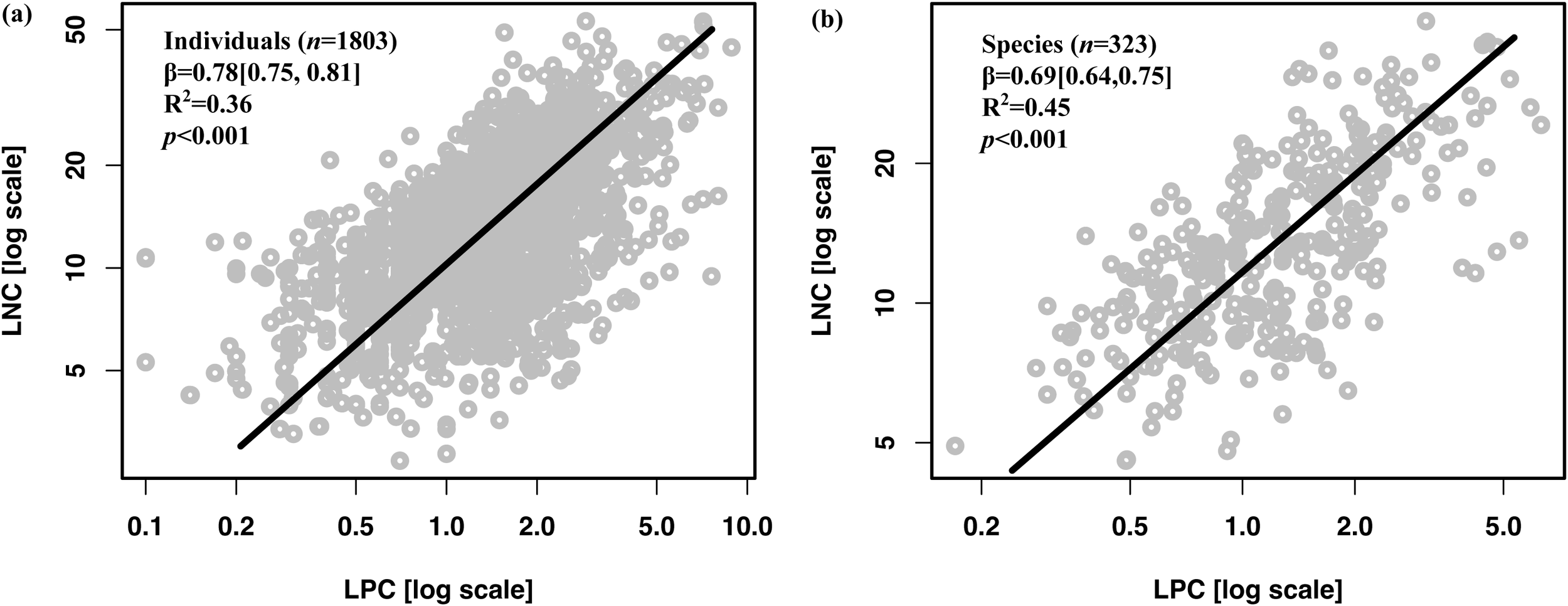 Scatter plots labeled (a) and (b) show the relationship between LPC and LNC using log scales. Plot (a) analyzes individuals, with a line of best fit indicating a positive correlation, beta equals 0.78, R-squared equals 0.36, and p less than 0.001. Plot (b) examines species, showing a similar relationship, beta equals 0.69, R-squared equals 0.45, and p less than 0.001.
