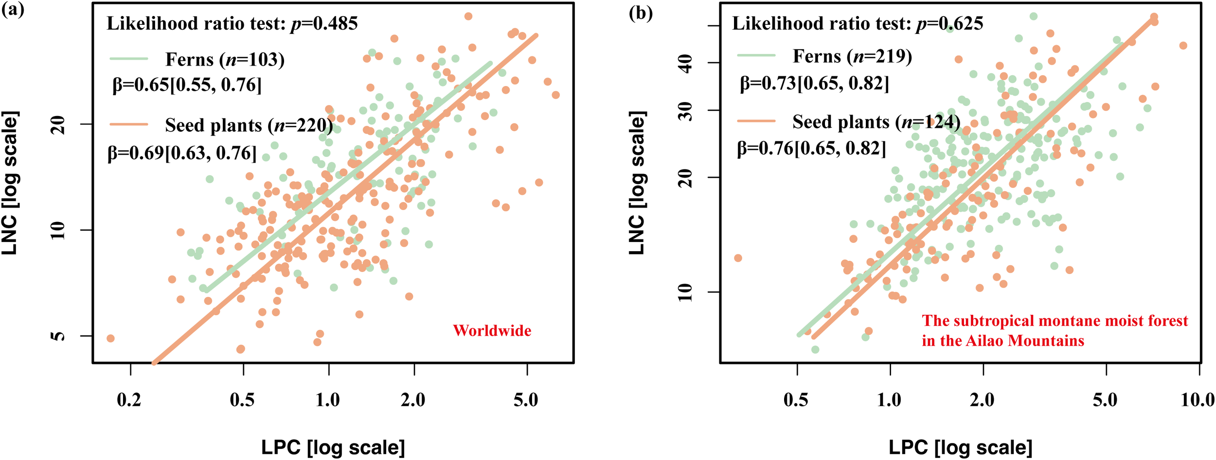 Two scatter plots compare ferns and seed plants. Plot (a) shows data worldwide, with ferns (n=103) and seed plants (n=220), both with similar slopes. Plot (b) presents data from the Ailao Mountains' subtropical forest, showing ferns (n=219) and seed plants (n=124), again with similar slopes. Both plots exhibit LNC versus LPC on log scales.