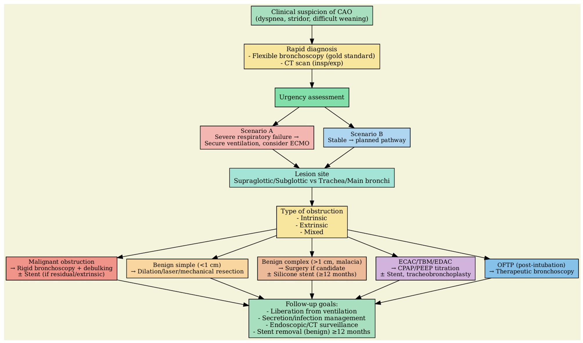 Flowchart illustrating the management of central airway obstruction (CAO). Begins with clinical suspicion of CAO, followed by rapid diagnosis via bronchoscopy and CT scan. Urgency assessment leads to scenarios A and B. Lesion sites are categorized as supraglottic, subglottic, trachea, or main bronchi. Types of obstruction include intrinsic, extrinsic, and mixed. Treatment options are given for malignant obstruction, benign simple and complex obstructions. Follow-up goals focus on ventilation and infection management.