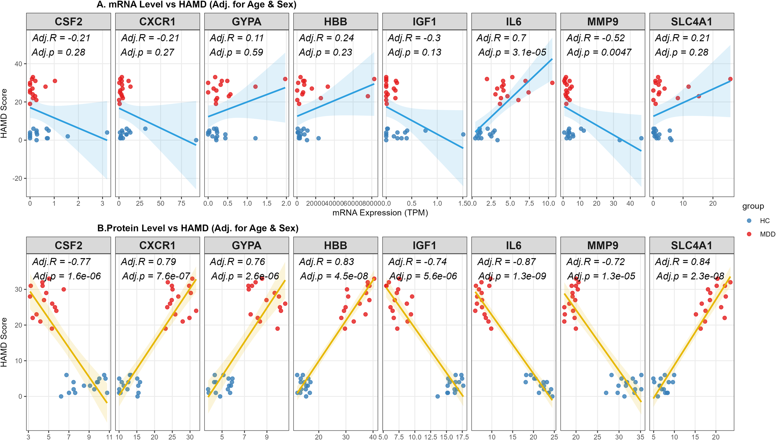 Scatter plots showing the relationship between HAMD scores and mRNA or protein levels for various genes, adjusted for age and sex. mRNA plots (top) include CSF2, CXCR1, GYPA, HBB, IGF1, IL6, MMP9, and SLC4A1, with blue trend lines. Protein plots (bottom) show the same genes with yellow trend lines, noting stronger correlations. Red represents MDD and blue HC groups.