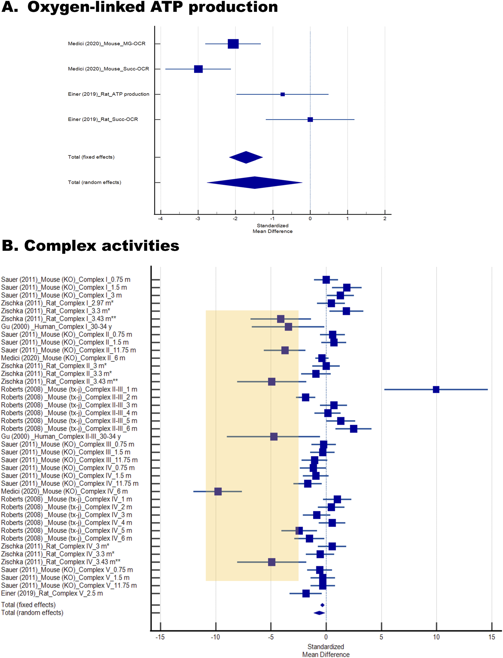Forest plots of oxygen-linked ATP production, and respiratory chain Complex activities in Wilson disease (WD) and related models. Forest plots were generated to evaluate mitochondrial bioenergetics across included studies. (A) Oxygen–linked ATP production measured using either malate–glutamate (MG) or succinate (Succ) as respiratory substrates. (B) Respiratory chain Complex activities, reported for individual Complexes (I–IV). Studies are labeled by first author, year of publication, species, Complex number (in Roman numerals), and age of subjects. In the Zischka study, one asterisk denotes a preclinical stage, while two asterisks indicate clinically apparent disease. Values highlighted in orange indicate the lowest activities, which were generally observed in studies of older or older, affected subjects.