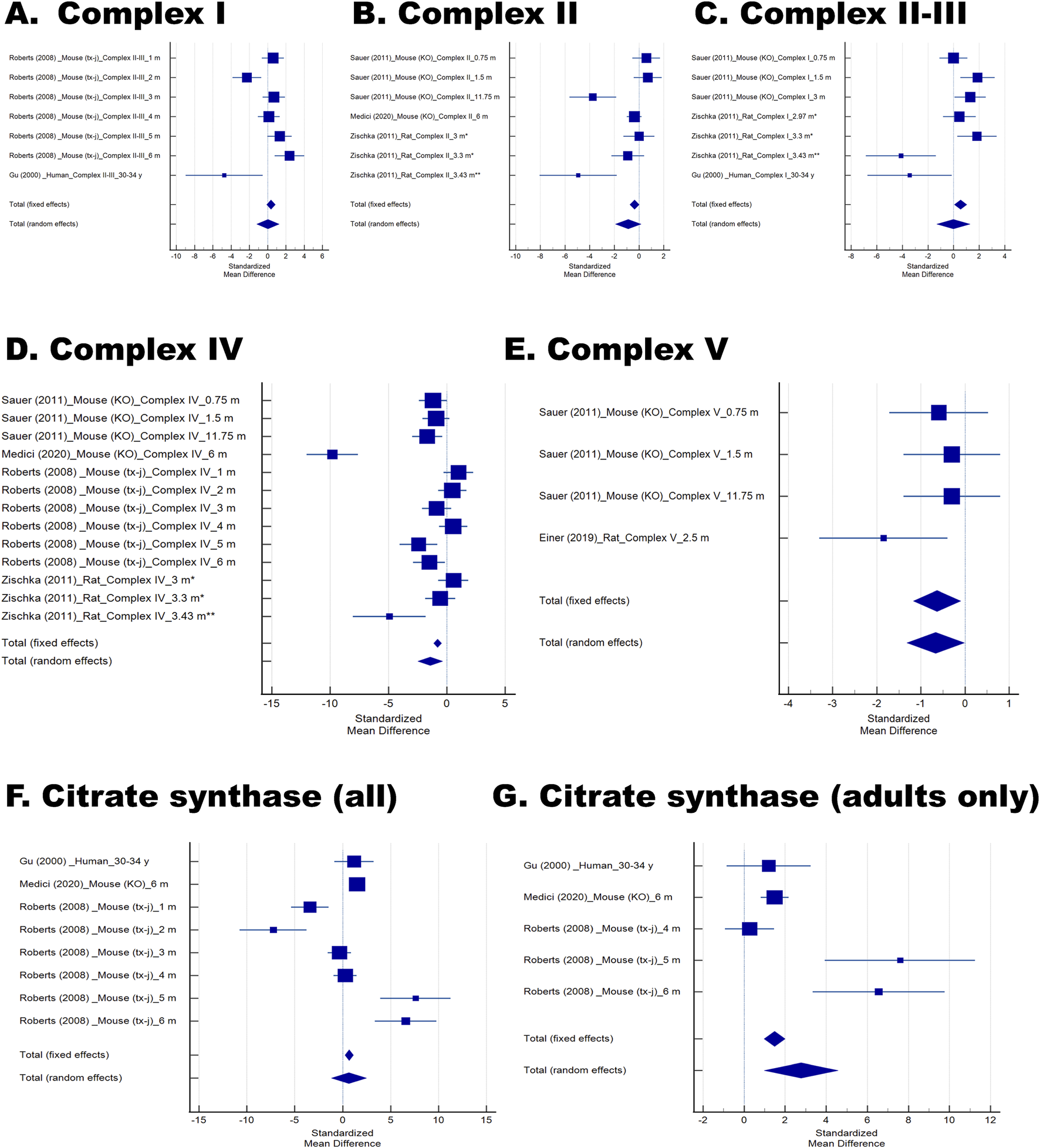Forest plots of Complex I–V and citrate synthase activities in Wilson disease (WD) and related models. Forest plots of Complex (I) (A), II (B), II–III (C), IV (D), and V (E) activities (F). Citrate synthase activity across all studies included in the analysis. (G) Citrate synthase activity restricted to adult subjects to assess age–related effects. In all panels, individual studies are represented by markers showing the standardized mean difference (Hedges’ g), with horizontal lines denoting 95% confidence intervals (CI). Marker size reflects the relative study weight under fixed–effects and random–effects models. Pooled estimates for both models are displayed as diamonds at the bottom of each plot, with diamond width corresponding to the 95% CI.