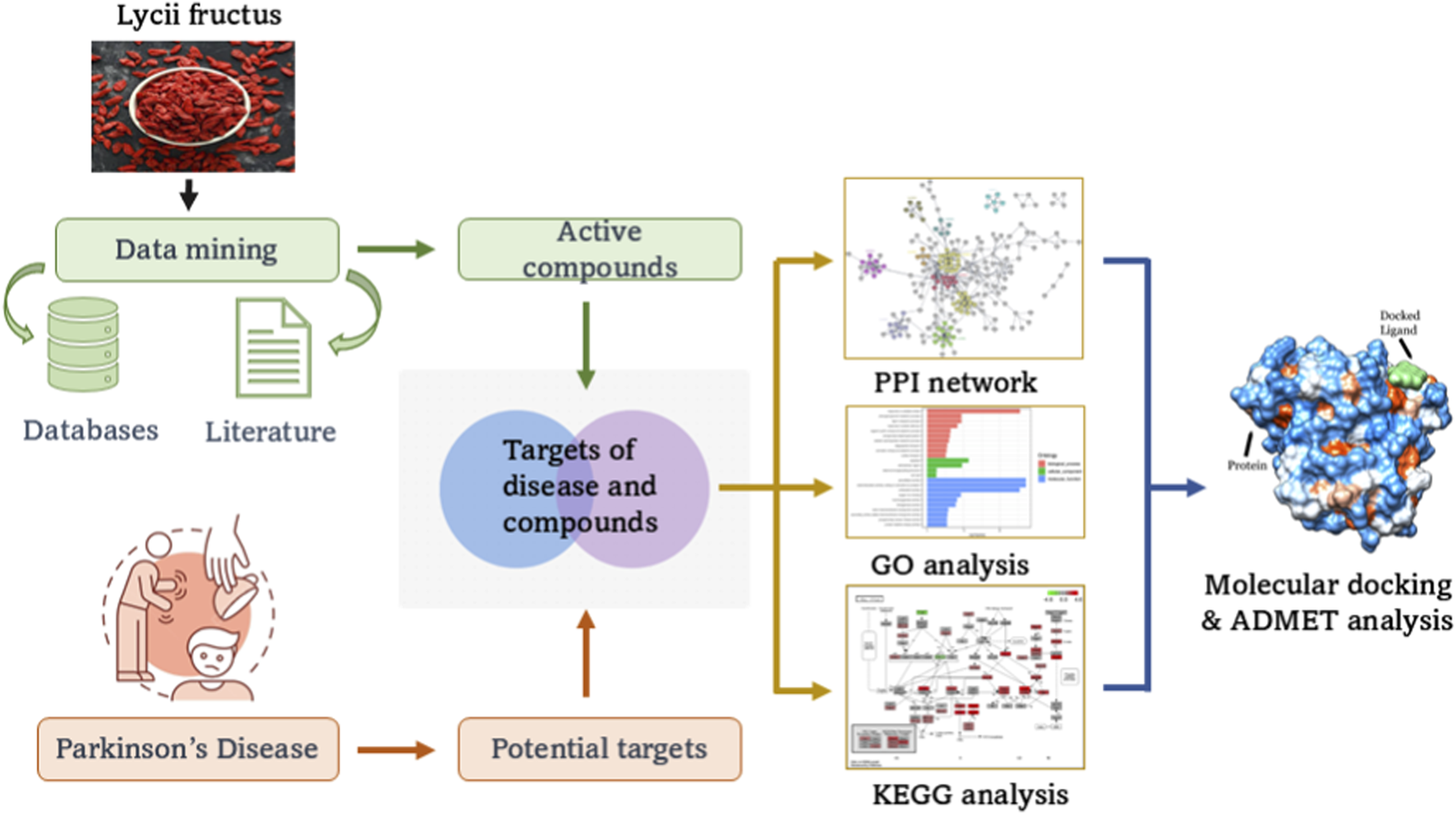 Diagram outlining the research process involving Lycii fructus for Parkinson's Disease. Data mining from databases and literature identifies active compounds. These target disease and compound interactions analyzed via PPI network, GO, and KEGG analysis lead to molecular docking and ADMET analysis for potential targets.