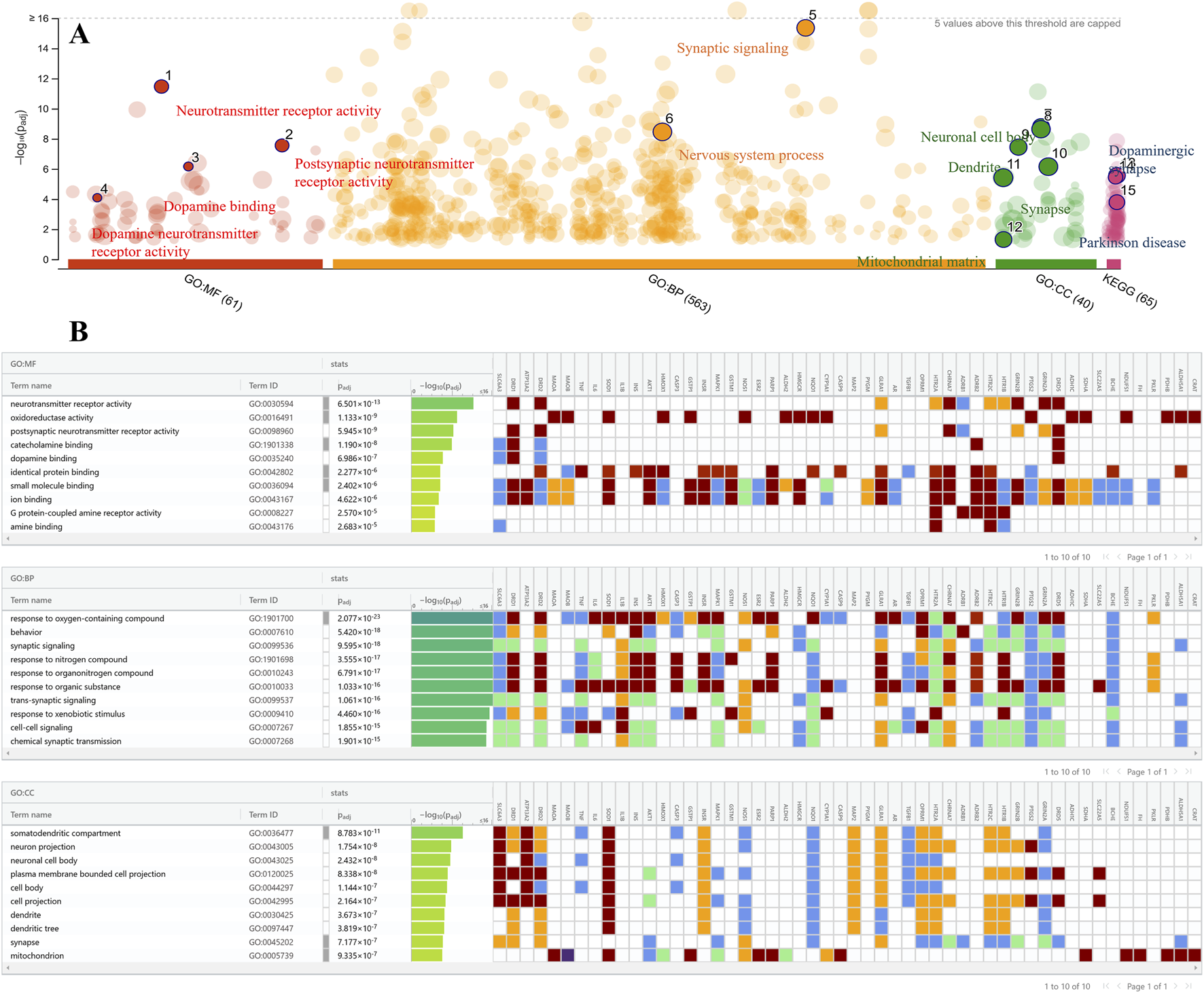 Scatter plot and heatmap visualization of gene ontology (GO) enrichment analysis. Panel A displays a scatter plot highlighting significant GO terms for molecular function (MF), biological process (BP), and cellular component (CC), with labeled points for terms like neurotransmitter receptor activity and synaptic signaling. Panel B contains heatmaps of GO terms, showing their statistical significance and clustering across different conditions. Terms are organized into categories, including neurotransmitter receptor activity and synaptic signaling. Each heatmap represents data from different GO categories, with color-coded significance levels.