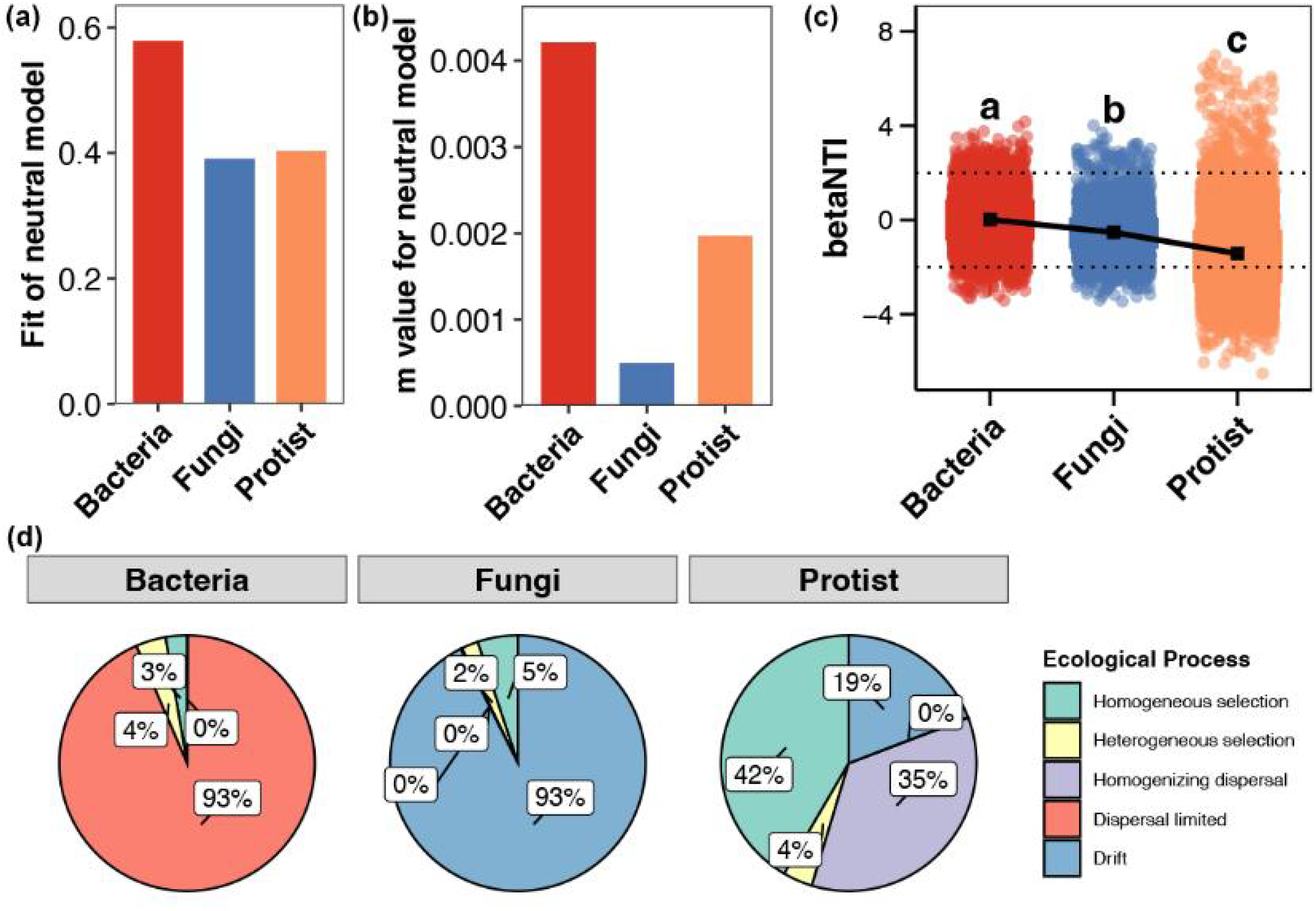 Bar charts (a) and (b) display the fit and m value for the neutral model among bacteria, fungi, and protists. Chart (c) shows betaNTI scatter plots with trend lines for each group, labeled a, b, and c. Pie charts (d) depict ecological processes for bacteria, fungi, and protists, with sections for homogeneous selection, heterogeneous selection, homogenizing dispersal, dispersal limited, and drift. Percentages are shown within each pie chart.