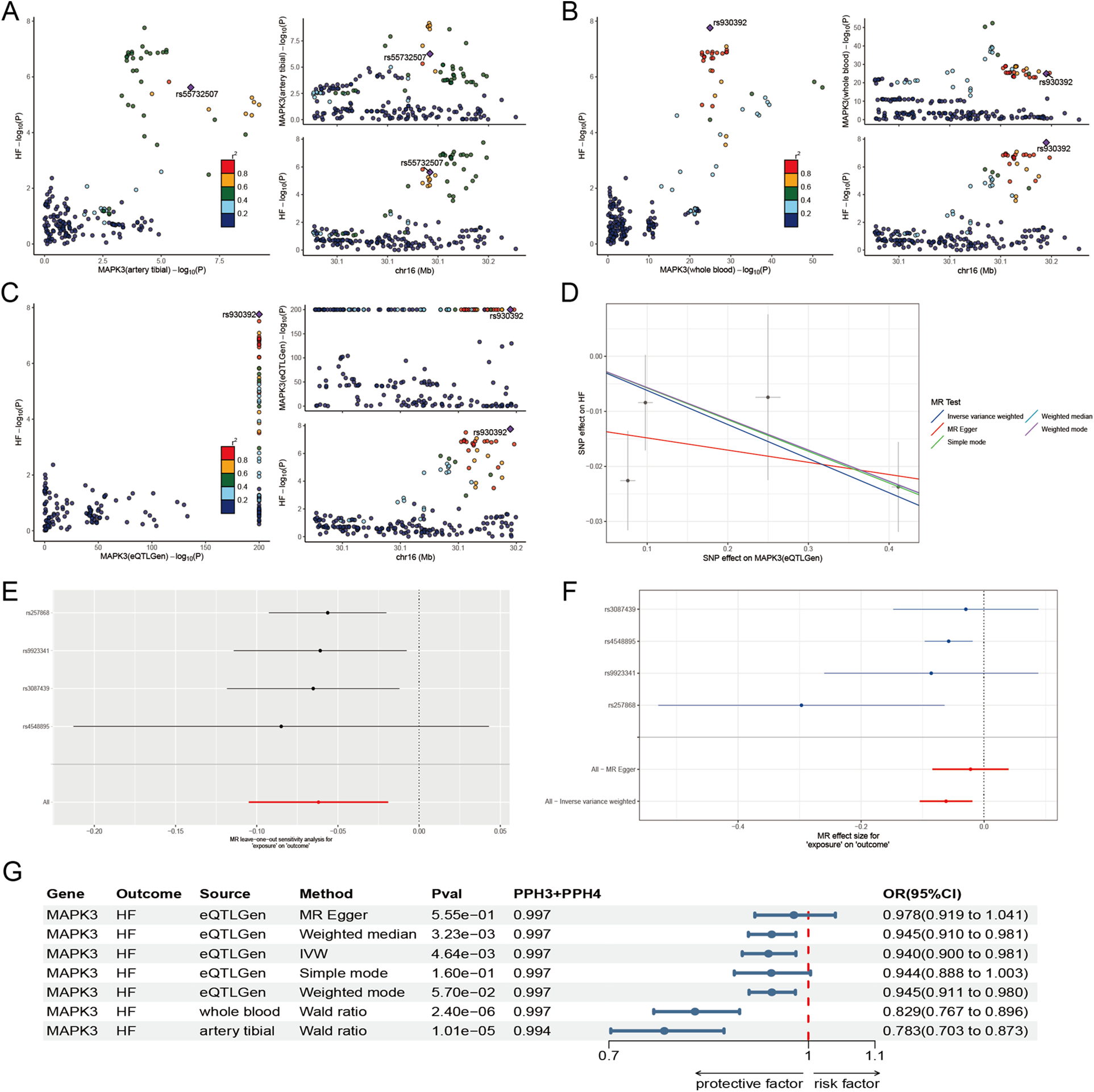 A series of six panels displaying genetic analysis results. Panels A to C show scatter plots correlating MAPK3 expression with various factors, using a color scale for significance. Panel D presents a Mendelian randomization test graph with multiple regression lines. Panels E and F show forest plots indicating effect sizes of specific SNPs. Panel G contains a table with genetic data, including genes, outcomes, sources, methods, p-values, and confidence intervals, ending with a graphical range showing protective versus risk factors.