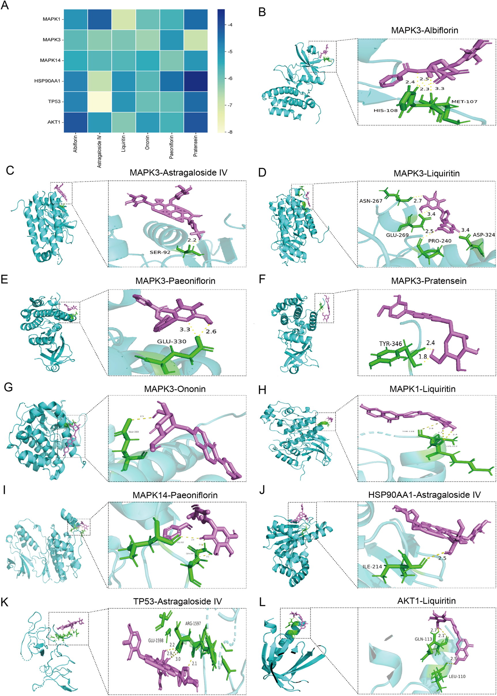 A multi-panel scientific illustration shows various molecular interactions. Panel A is a heatmap depicting interaction strengths between different molecules and proteins, using a color gradient from light yellow to dark blue. Panels B to L display 3D structures of proteins (in teal) interacting with various compounds (in purple), with close-ups highlighting binding sites in green. Labels on each image identify the specific protein-compound interaction, with detailed views showing binding amino acids and distances in angstroms. Examples include MAPK3-Albiflorin, MAPK3-Liquiritin, MAPK1-Liquiritin, among others, each illustrating unique binding configurations.