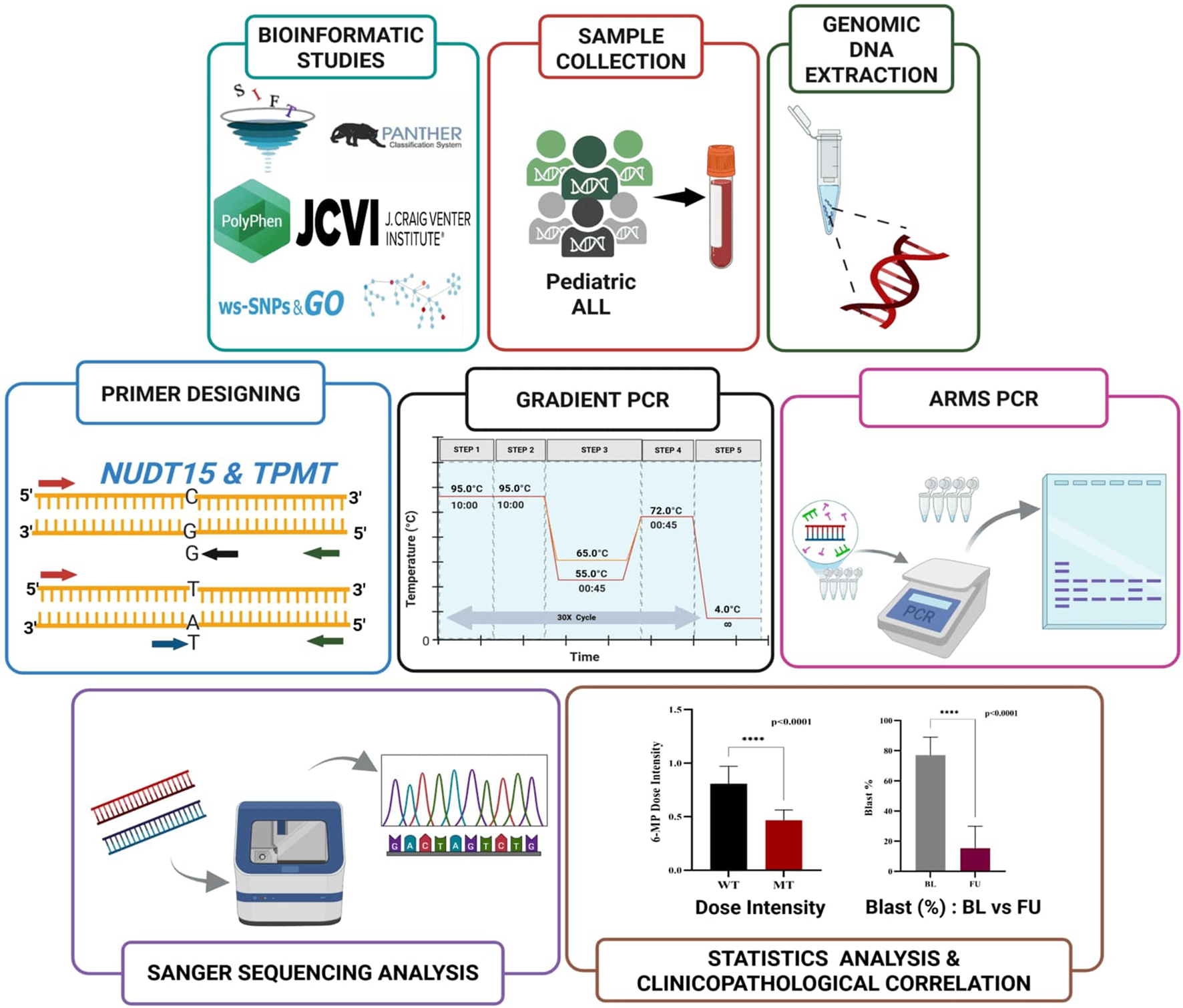 Flowchart detailing a genetic analysis process. It includes: Data Retrieval (SNPs from NCBI dbSNP for NUDT15 and TPMT, duplicate removal, missense selection), SIFT Analysis (tolerance predictions, cutoff 0.05), PANTHER Analysis (evolutionary conservation with protein sequence), PolyPhen-2 Analysis (functional impact assessment, damage classification), SNPs & GO Analysis (disease association), PROVEAN Analysis (protein structure/function impact, cutoff -2.5), and Meta-SNP Analysis (integrating multiple predictions for consensus).