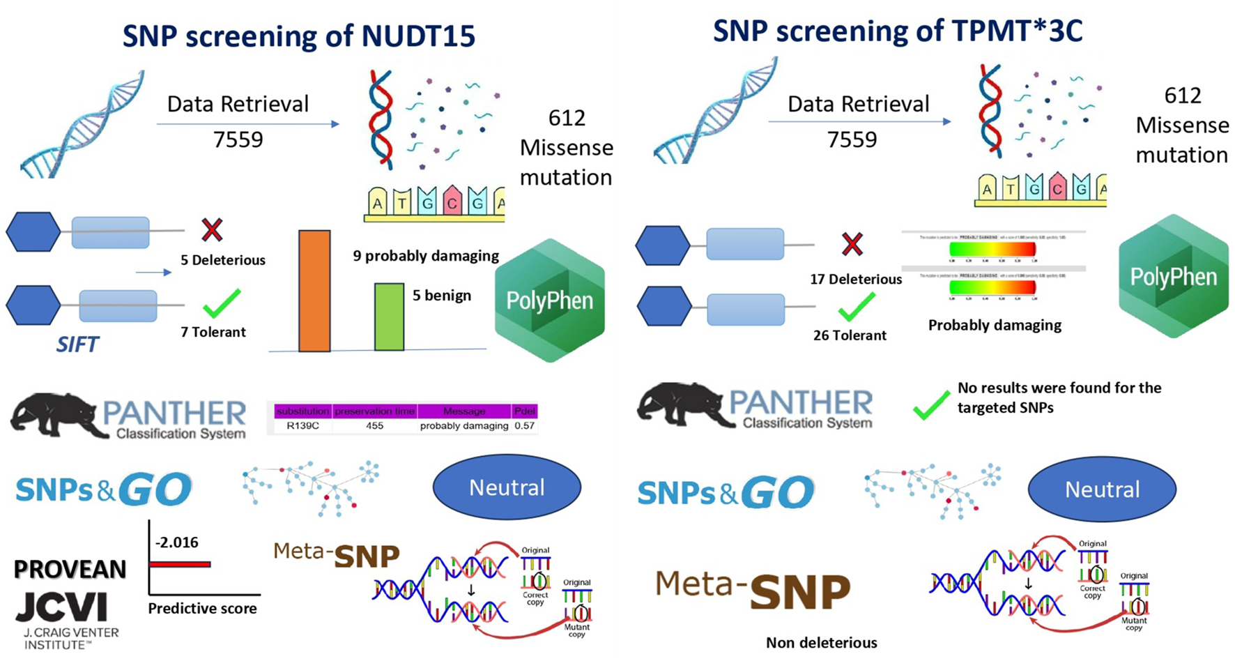 SNP screening of NUDT15 and TPMT*3C is depicted, both with data retrieval of 7559 and 612 missense mutations. SIFT analysis shows 5 deleterious and 7 tolerant for NUDT15, and 17 deleterious and 26 tolerant for TPMT*3C. PolyPhen indicates 9 probably damaging and 5 benign for NUDT15, while probably damaging results for TPMT*3C. PANTHER, SNPs&GO, and Meta-SNP details are included, showing neutral or non-deleterious results. PROVEAN gives a predictive score of negative 2.016 for NUDT15. TPMT*3C has no results for targeted SNPs.