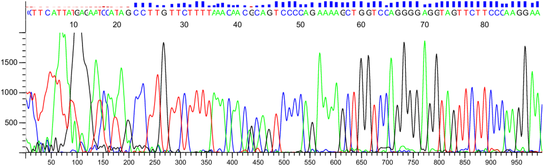 DNA sequencing graph showing nucleotide peaks. Bases are identified by their color: adenine (green), cytosine (blue), guanine (black), and thymine (red). The sequence includes numbers for position reference.