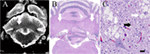 www.frontiersin.org