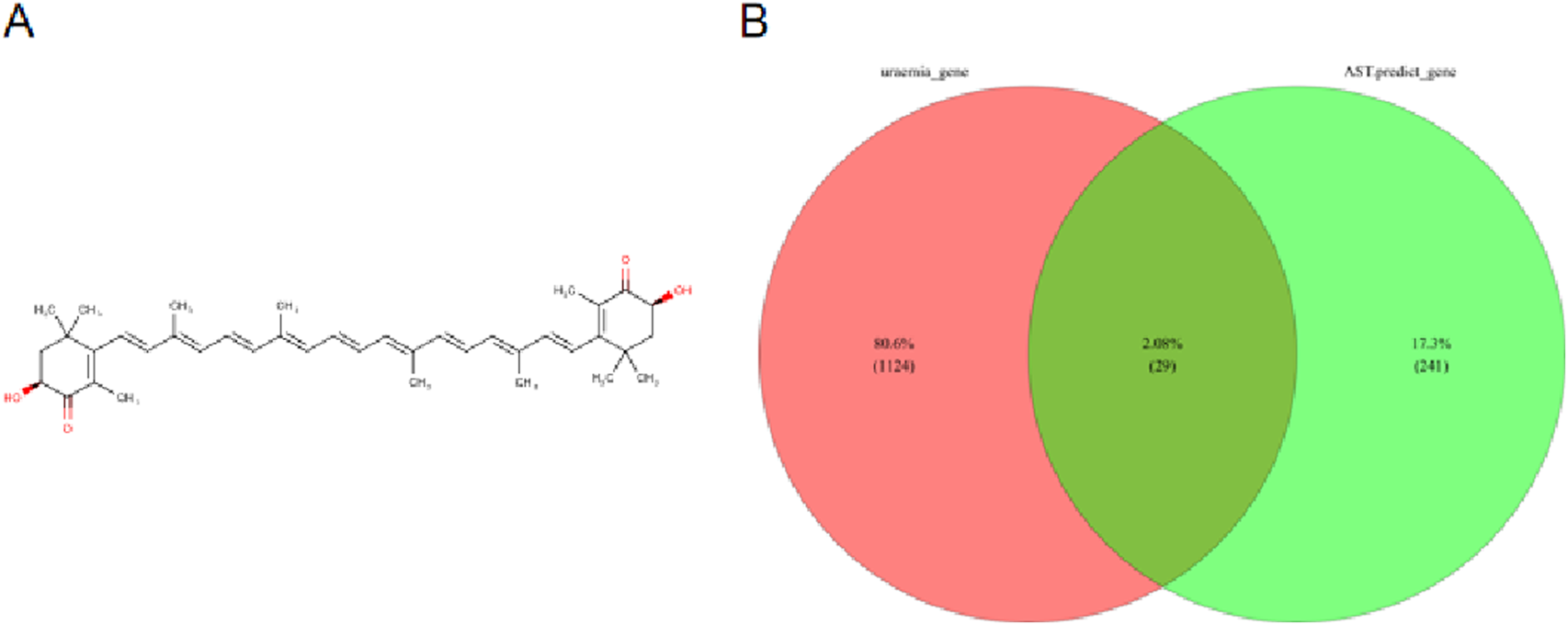Panel A shows the chemical structure of Coenzyme Q10 with two structural variations. Panel B presents a Venn diagram comparing uraemia genes and AST prediction genes, highlighting the overlap of 29 genes, alongside unique counts of 1124 and 241 genes.