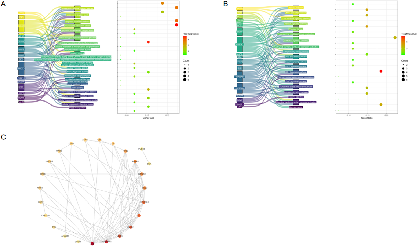A three-part image displays gene analysis data. Panel A shows a Sankey diagram linking genes to functions, with a dot plot indicating gene ratios and P-values. Panel B has a similar layout with different linkages and data points. Panel C presents a circular network diagram of interconnected genes, color-coded by significance.