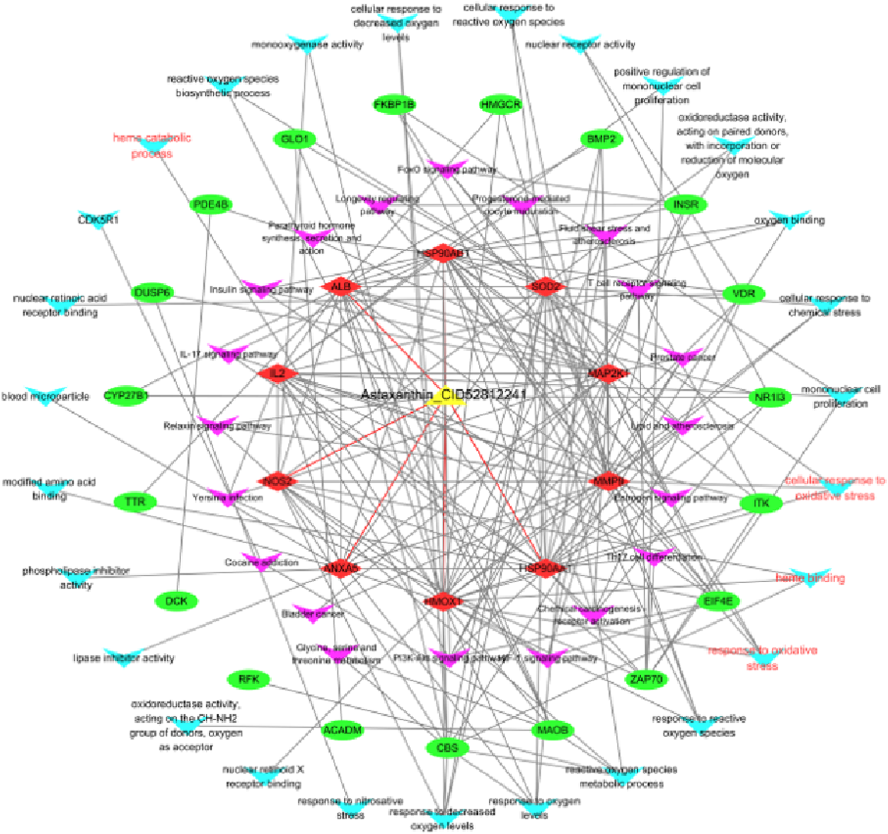 Network diagram displaying relationships between various biological entities and processes related to Astaxanthin (CID5281224). Nodes, labeled with gene and protein symbols, are connected by lines representing interactions. Node colors indicate different categories: red for certain metabolic processes, green and pink for other biological functions. Text annotations describe associated biological activities and responses.