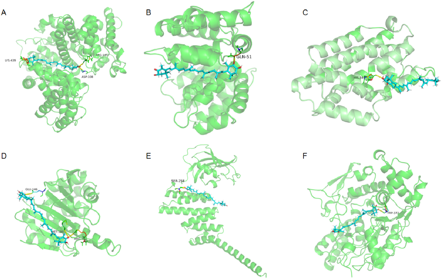 Six molecular structure diagrams labeled A to F, each depicting a protein complex in green ribbons. Specific amino acids are highlighted and labeled, with cyan-colored molecules interacting at various points. Each diagram shows different protein conformations and interactions, illustrating structural differences.