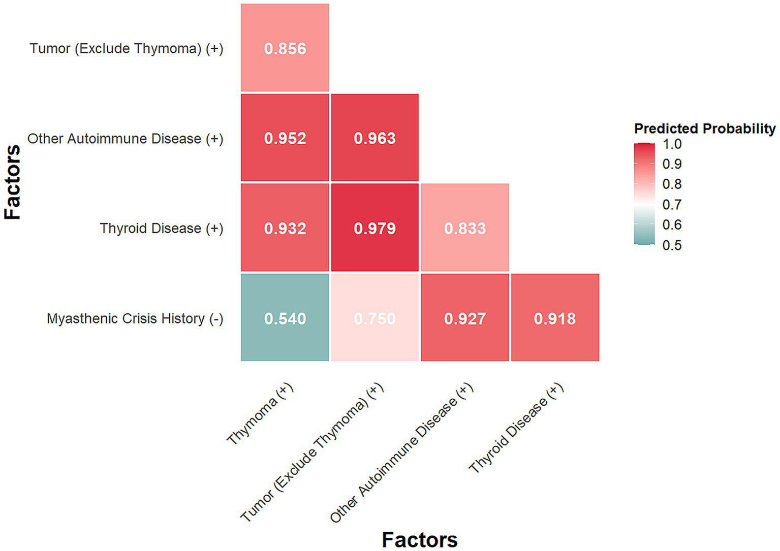 Heatmap depicting predicted probabilities for the presence of various factors. Rows include 'Tumor (Exclude Thymoma) (+)', 'Other Autoimmune Disease (+)', 'Thyroid Disease (+)', and 'Myasthenic Crisis History (-)'. Columns include 'Thymoma (+)', 'Tumor (Exclude Thymoma) (+)', 'Other Autoimmune Disease (+)', and 'Thyroid Disease (+)'. Probabilities range from 0.540 to 0.979, with higher probabilities shown in darker red and lower ones in teal.