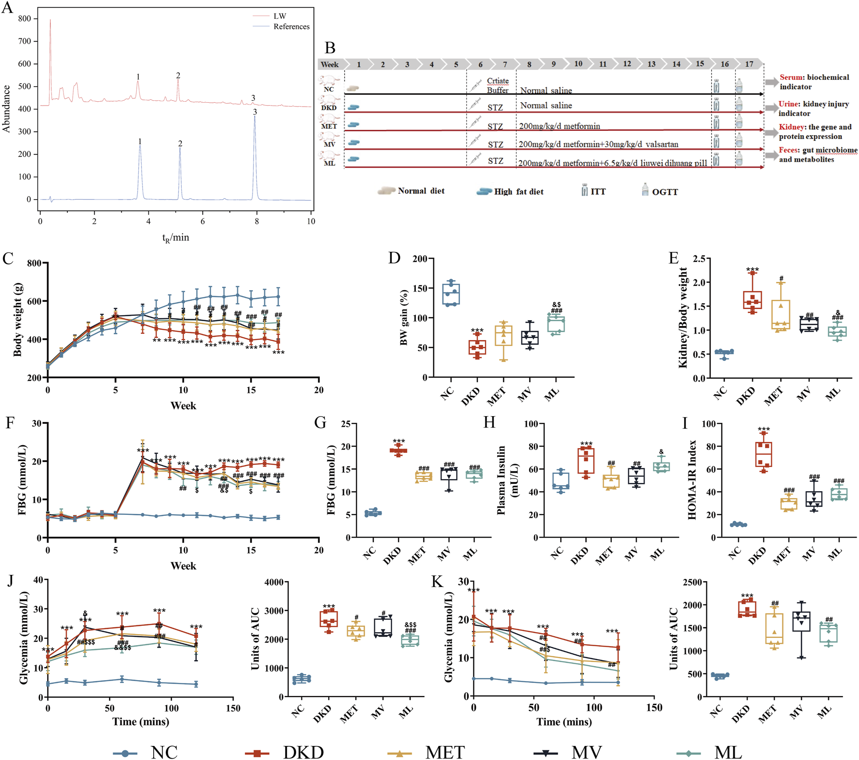 A series of graphs and a table detailing a scientific study. Panel A shows a chromatogram with labeled peaks. Panel B presents a study design timeline, including diet types and treatments. Panel C to K display various graphs and box plots illustrating body weight, fasting blood glucose, plasma insulin, and glycemia changes over time and across different treatment groups: NC, DKD, MET, MV, and ML. Data points and statistical significance are marked, comparing control and experimental groups. The combination of these visuals conveys the effects of different treatments on the measured parameters.