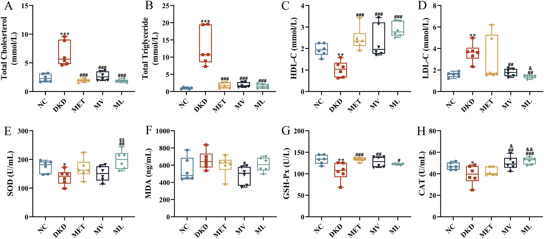 Box and whisker plots comparing various biochemical parameters across five groups: NC, DKD, MET, MV, and ML. Panels A-H represent different measurements: A) Total Cholesterol, B) Total Triglyceride, C) HDL-C, D) LDL-C, E) SOD, F) MDA, G) GSH-Px, and H) CAT. Significant differences are marked with asterisks and hashes. Results indicate distinct variations in these parameters across the groups.