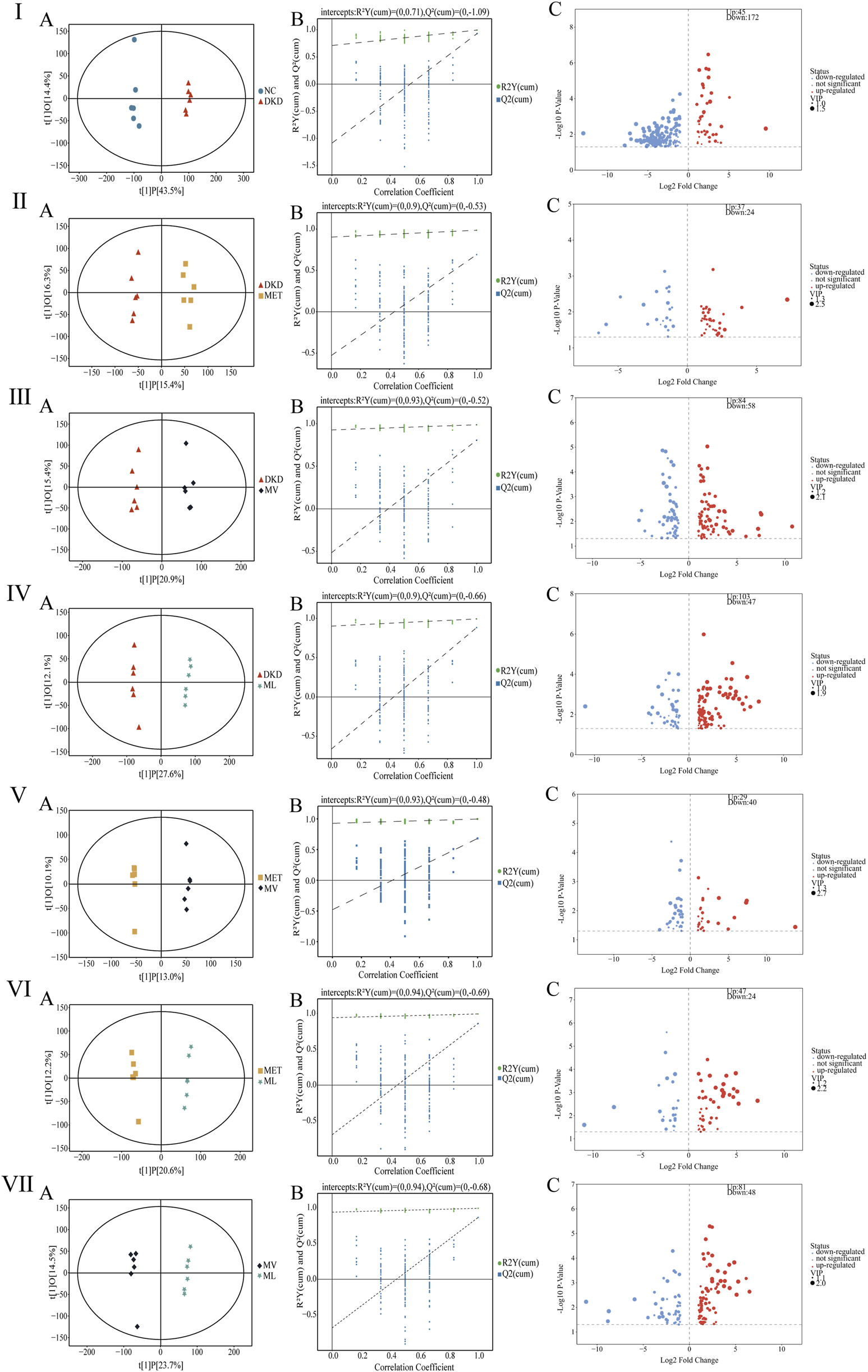 Seven sets of plots, each containing three charts labeled A, B, and C. A charts are scatter plots comparing two variables with points marked in different colors. B charts display PLS-DA model quality with correlation coefficients and cross-validation indicators. C charts are volcano plots showing gene expression changes; significant genes are highlighted. Each row corresponds to a different experimental comparison, focusing on diabetic conditions and treatments.