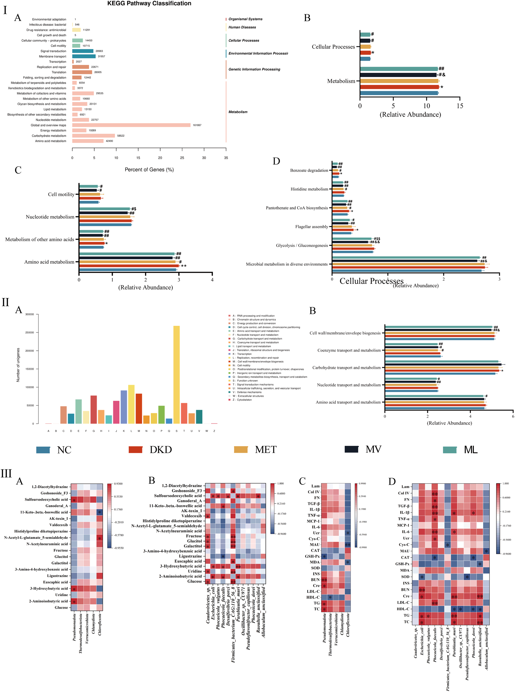 Panel I shows a KEGG pathway classification with a bar chart analyzing pathway types and gene percentages. Panel II presents bar charts comparing relative abundances in various processes and metabolisms. Panel III displays heatmaps indicating gene expression correlations across different substances and conditions.