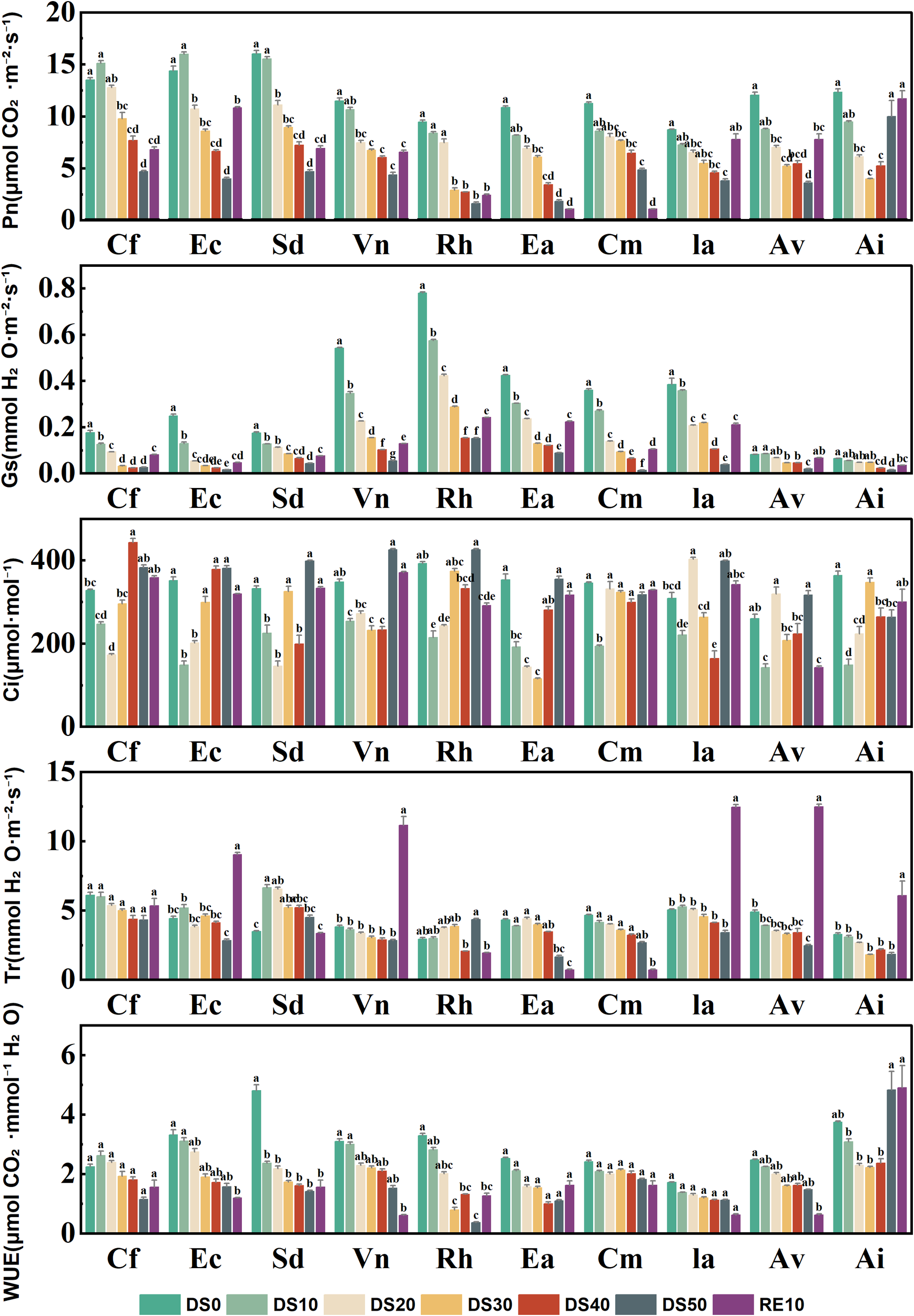 Bar graphs display several physiological parameters for different plant species under varying conditions. Each subplot represents a different parameter: Pn (photosynthetic rate), Gs (stomatal conductance), Ci (intercellular CO2 concentration), Tr (transpiration rate), and WUE (water use efficiency). Legend indicates conditions: DS0, DS10, DS20, DS30, DS40, DS50, and RE10, with bars colored accordingly. Letters above bars denote statistical grouping. Species are labeled as Cf, Ec, Sd, Vn, Rh, Ea, Cm, Ia, Av, and Ai.