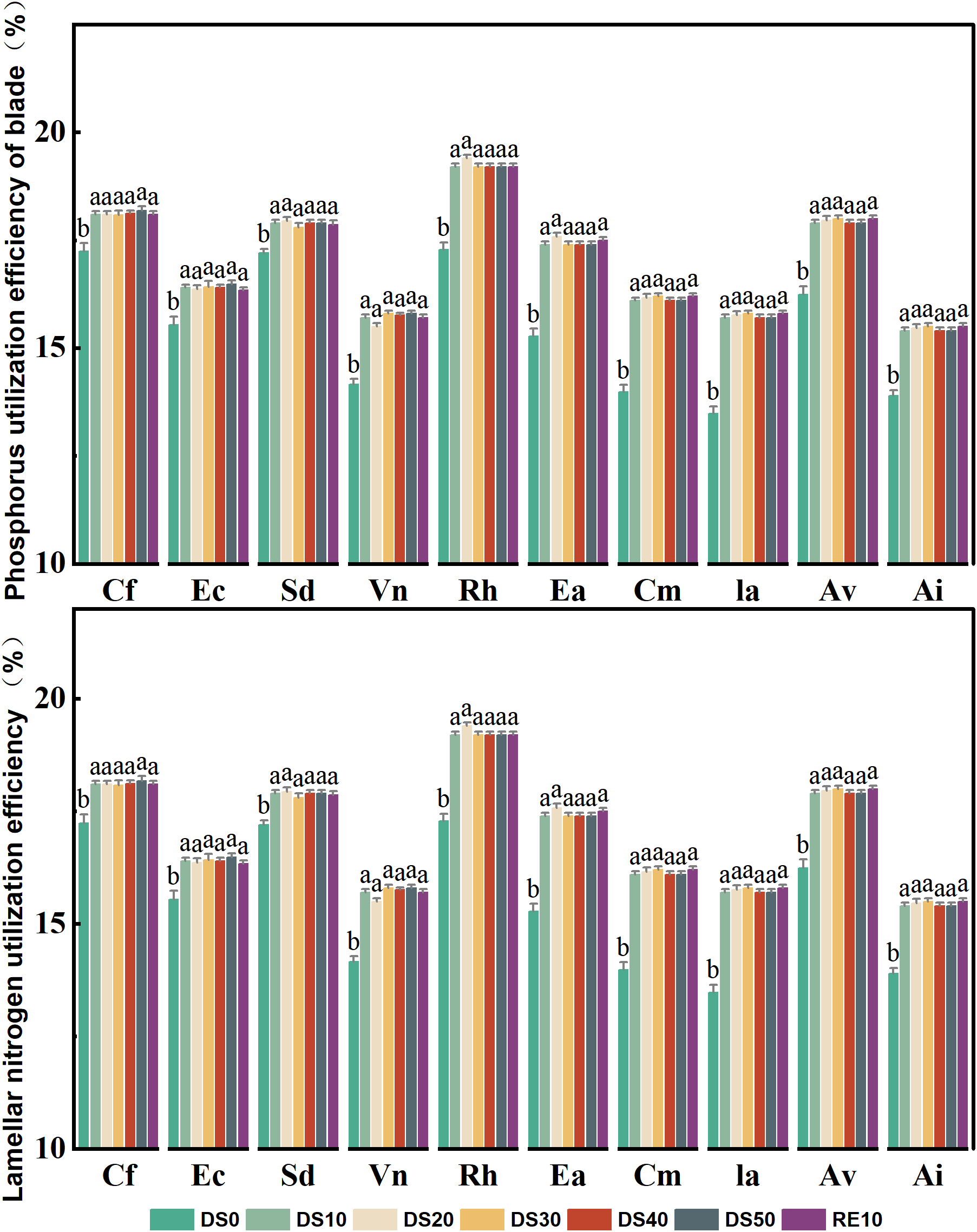 Bar charts display phosphorus and lamellar nitrogen utilization efficiency for various species, labeled Cf, Ec, Sd, Vn, Rh, Ea, Cm, Ia, Av, and Ai. Each species has multiple bars representing different groups: DS0, DS10, DS20, DS30, DS40, DS50, and RE10. Efficiency percentages range from ten to twenty. Letters above bars indicate statistical differences.