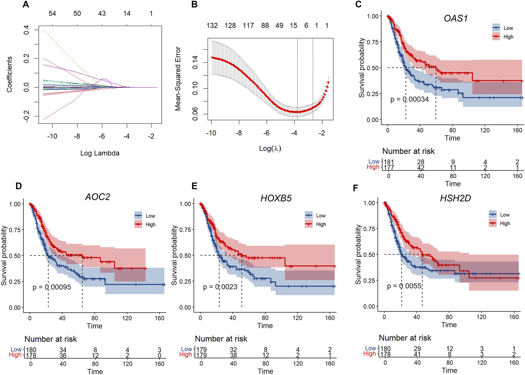 Graph A shows a plot of coefficients versus log lambda with multiple colored lines. Graph B displays mean-squared error against log lambda with a U-shaped curve. Graphs C to F present Kaplan-Meier survival curves for genes OAS1, AOC2, HOXB5, and HSH2D, respectively. Each graph includes survival probability over time with separate lines for low and high expression groups, shaded confidence intervals, p-values, and tables of numbers at risk.