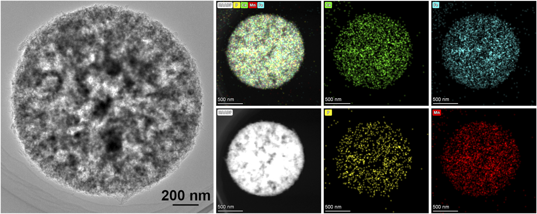 A series of microscopy images depict a nanoparticle at different scales and with various element-specific color mappings. The leftmost image shows a grayscale close-up at 200 nanometers. The top row includes a composite image with phosphorous (P), calcium (Ca), manganese (Mn), and iron (Fe) elements marked by colors; a green map of calcium; and a blue map of iron. The bottom row includes a high-angle annular dark field (HAADF) image, a yellow map of phosphorous, and a red map of manganese, all scale-marked at 500 nanometers.