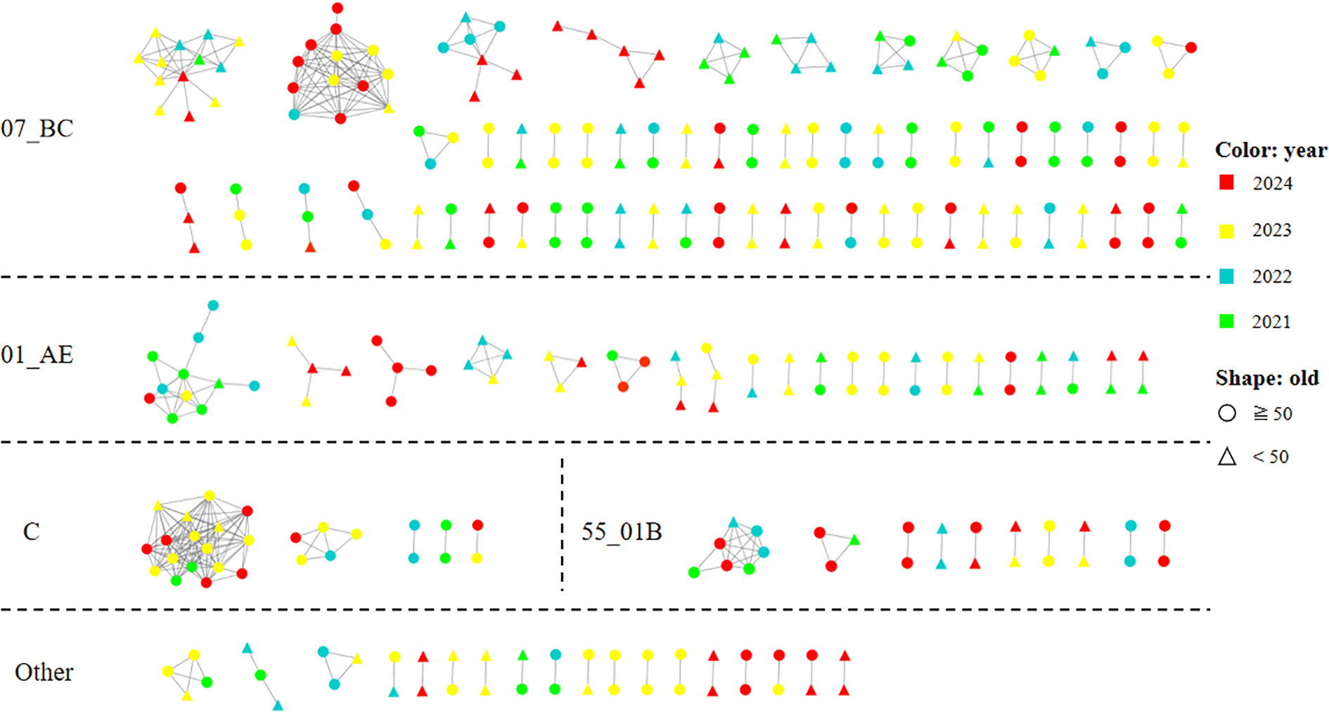 Network diagrams depict temporal changes categorized by years and age groups. Nodes are colored by year: red for 2024, yellow for 2023, blue for 2022, green for 2021. Shapes indicate age: circles for nodes older than fifty and triangles for younger ones. Sections labeled 07_BC, 01_AE, C, 55_01B, and Other show varying connections and configurations. Dotted lines separate the sections.