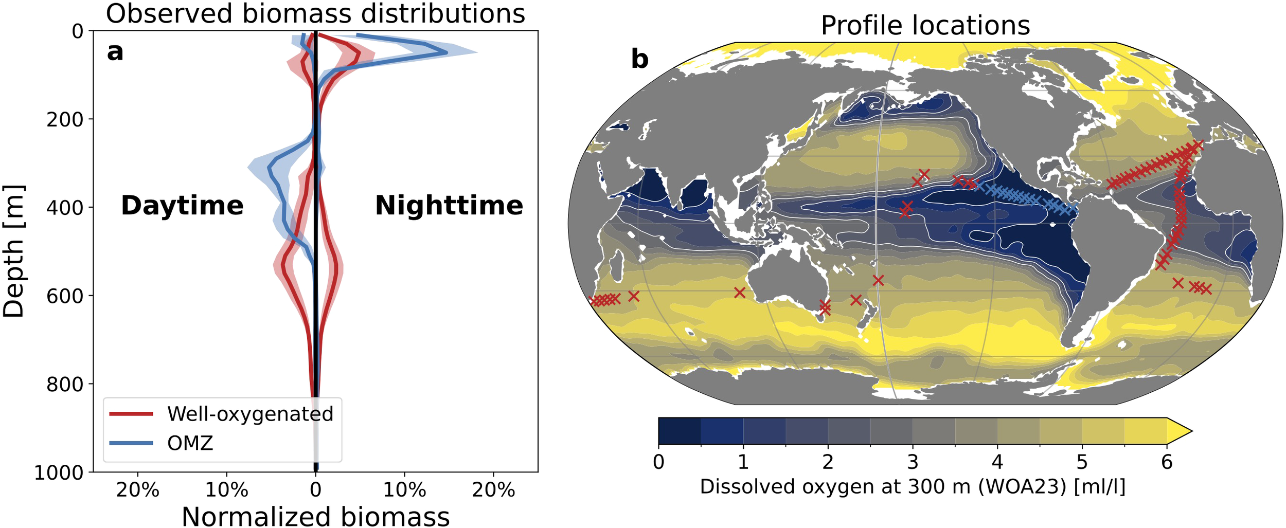 Graph (a) shows biomass distribution with depth in meters, highlighting well-oxygenated areas in red and Oxygen Minimum Zones (OMZ) in blue for daytime and nighttime. Map (b) displays profile locations marked by red crosses, overlaid on global dissolved oxygen levels at 300 meters, ranging from blue (low) to yellow (high).