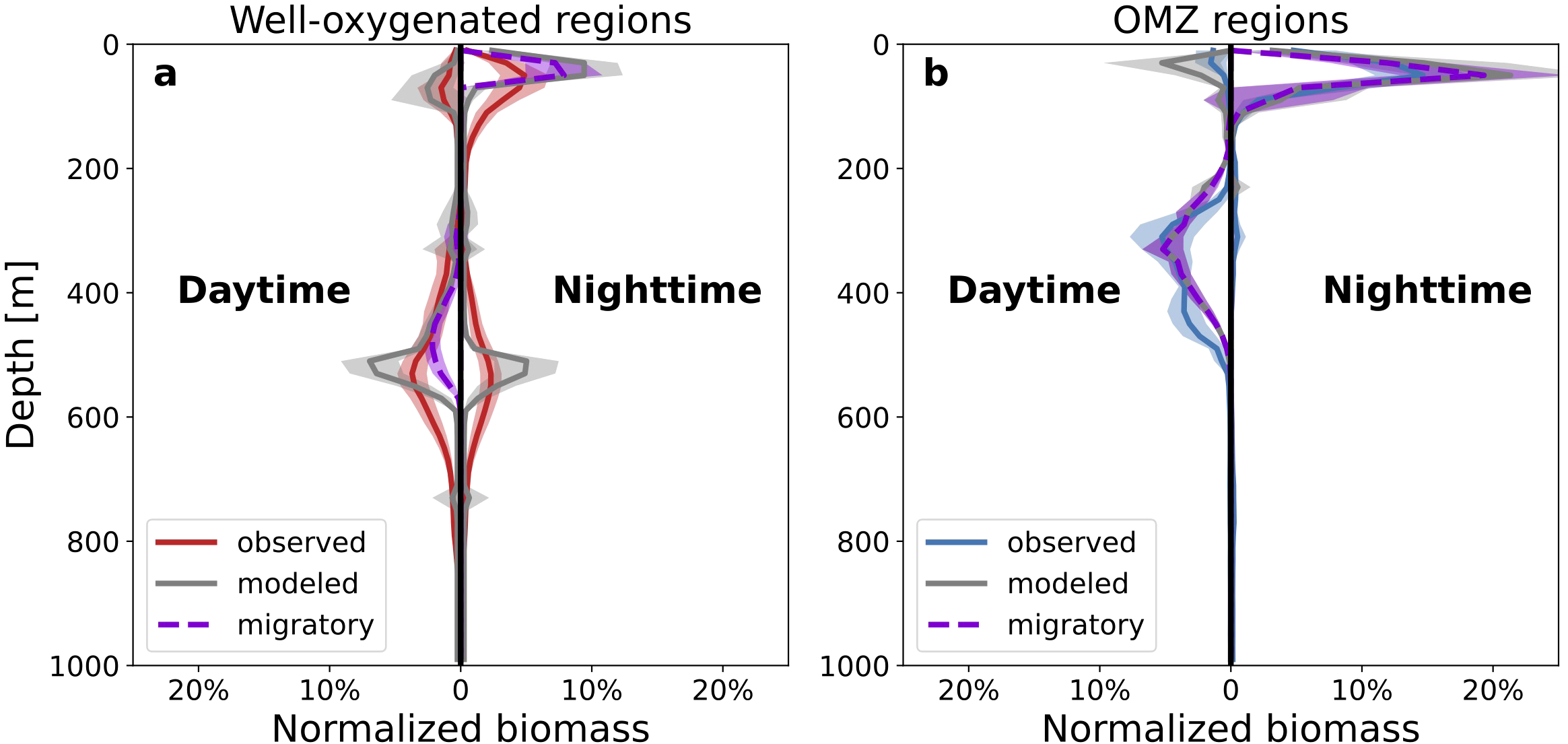 Graphs comparing normalized biomass and depth in well-oxygenated regions (a) and oxygen minimum zones (OMZ) regions (b). Both graphs show biomass distribution during daytime and nighttime, with lines representing observed, modeled, and migratory data. The x-axis shows normalized biomass percentages, and the y-axis represents depth in meters from zero to one thousand. The left graph uses red for observed data, while the right uses blue. The modeled data is in gray, and migratory paths are shown in purple dashed lines.