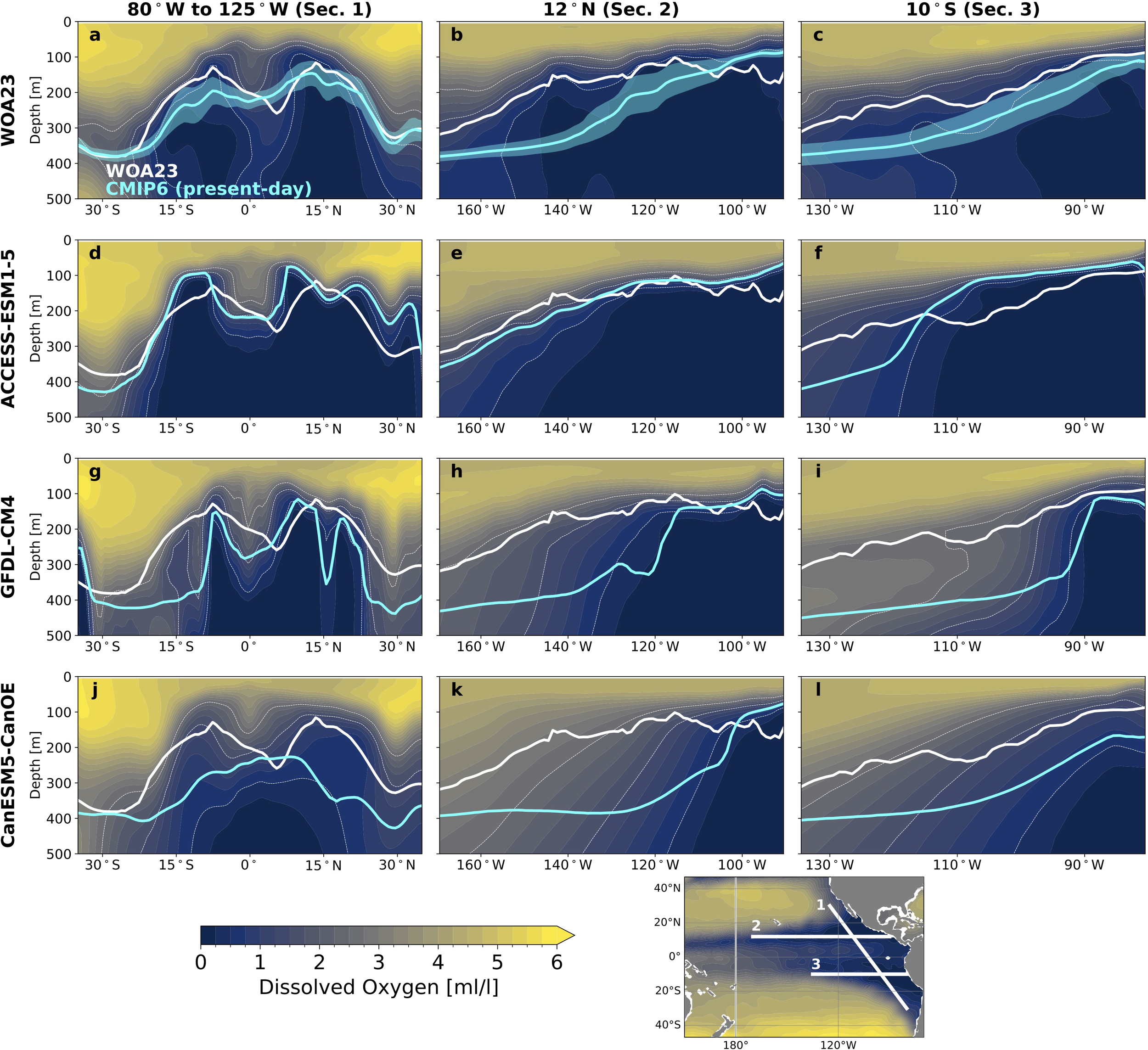 Charts showing dissolved oxygen levels across different ocean depths and sections. Panels a, d, g, j compare model outputs WOA23, ACCESS-ESM1-5, GFDL-CM4, and CanESM5-CanOE for 80° W to 125° W. Panels b, e, h, k show results for 12° N. Panels c, f, i, l depict 10° S. Legend indicates oxygen concentration from 0 to 6 milliliters per liter, with color gradient from blue to yellow. An inset map indicates sections across the Pacific Ocean.