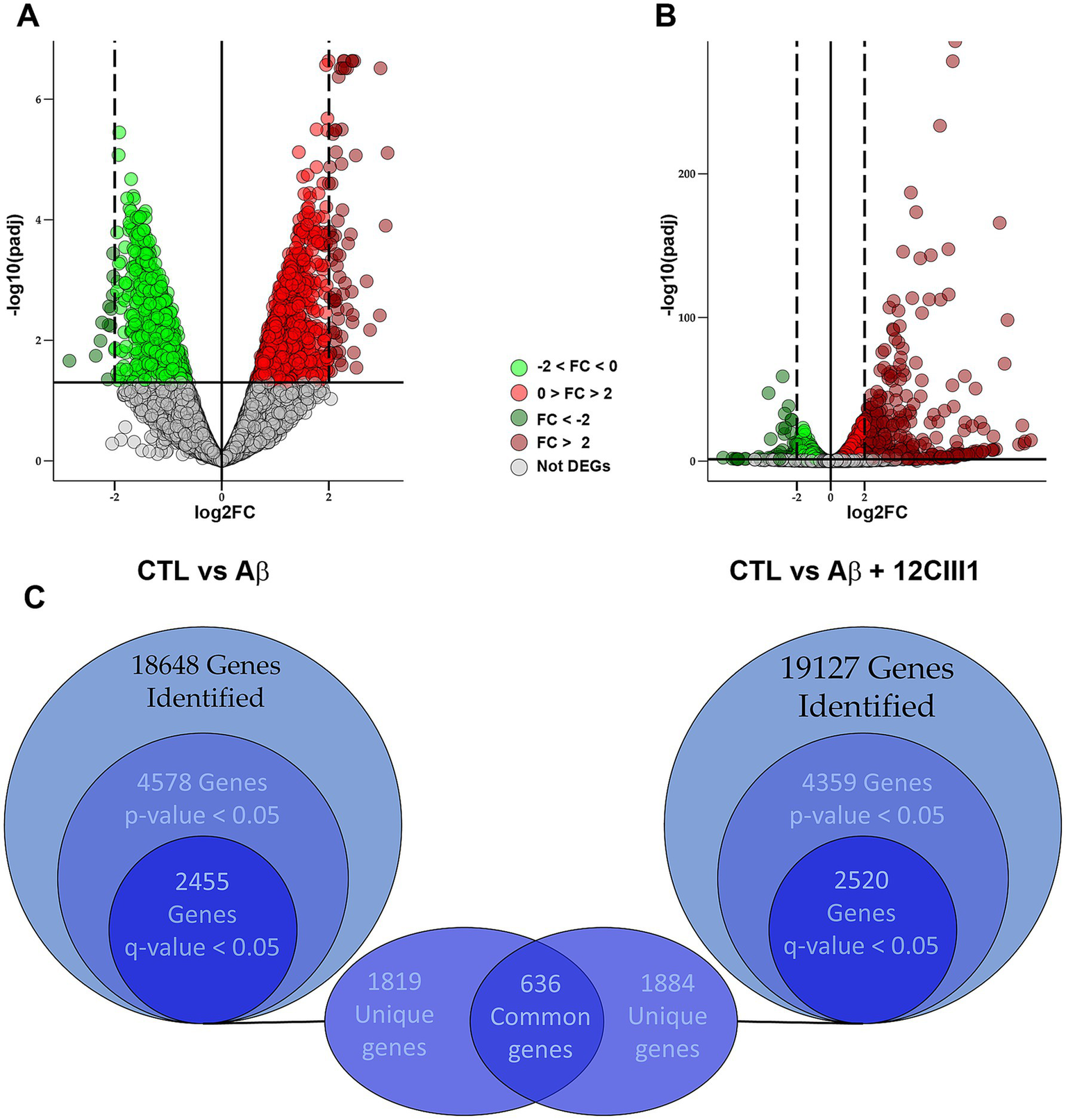 Graphs A and B show volcano plots for CTL vs Aβ and CTL vs Aβ + 12CIII1, respectively. Points are color-coded by fold change and significance. Graph C is a Venn diagram comparing identified genes in both conditions, with overlaps and unique entities detailed by statistical significance.