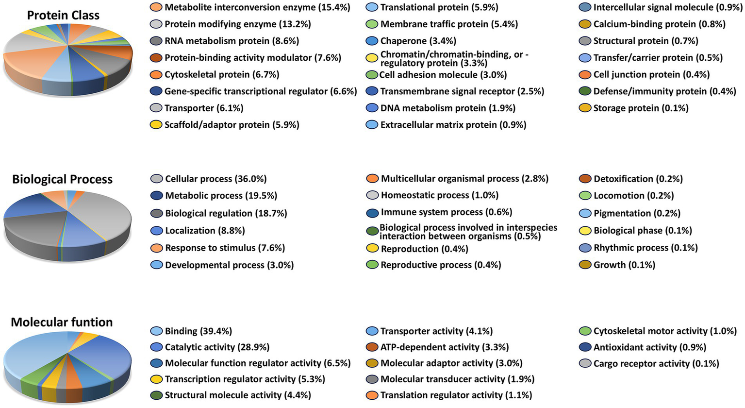 Three pie charts represent data on protein class, biological process, and molecular function. The protein class chart highlights metabolite interconversion enzymes at 15.4%. The biological process chart shows cellular processes at 36.0%. The molecular function chart emphasizes binding at 39.4%. Each segment has a distinct color for identification.