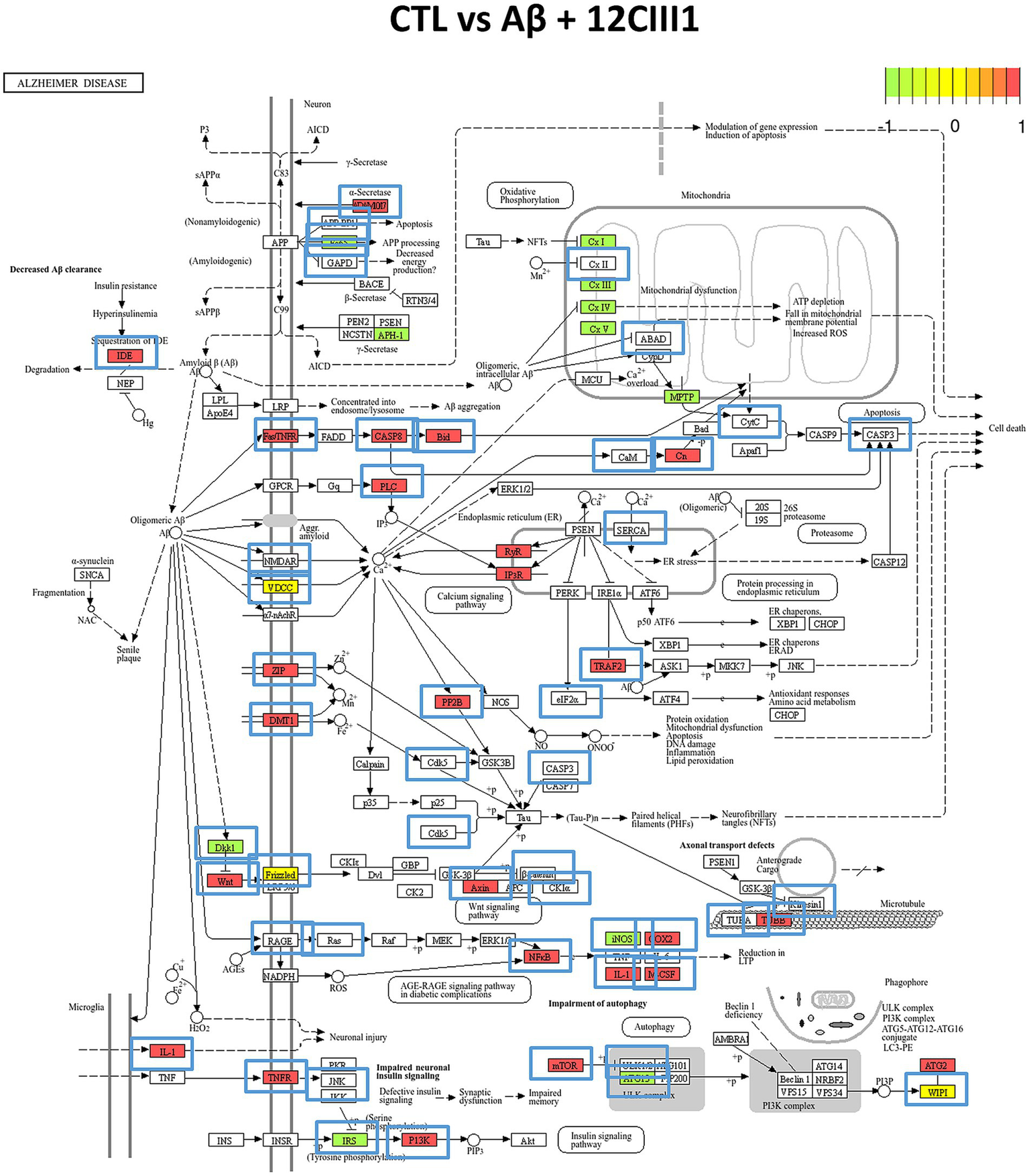 Complex biological pathway diagram comparing control (CTL) and Aβ + 12CIII1 effects related to Alzheimer's disease. Includes multiple color-coded pathways like insulin signaling, oxidative phosphorylation, and mitochondrial dysfunction, with protein markers and cellular processes such as apoptosis, proteostasis, and autophagy, visually represented through interconnected labeled blocks. A color scale from 0 to 1 is shown in the top right for reference.