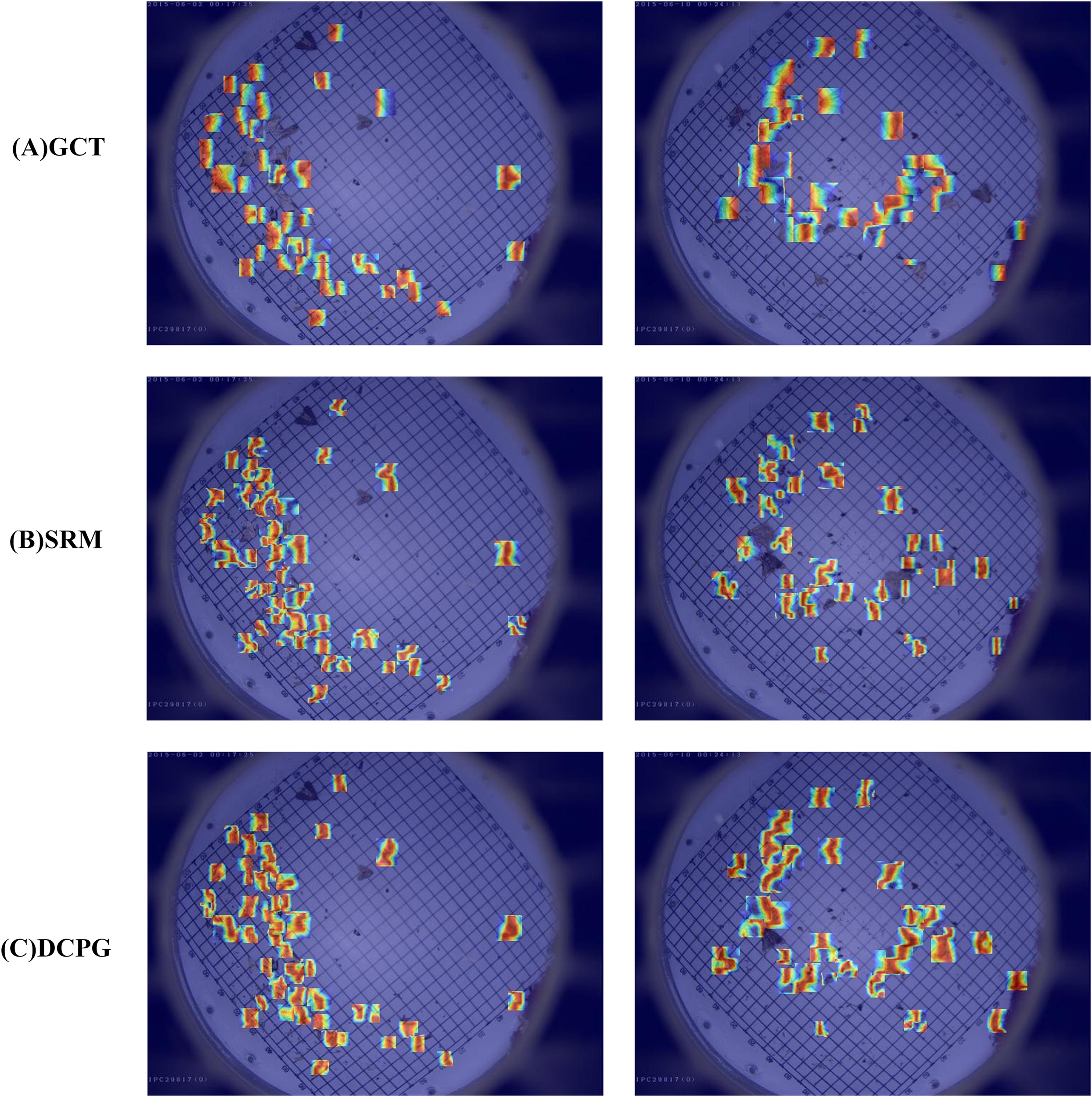 Six microscopic images show patterns of colored clusters on a grid background under three different conditions labeled GCT, SRM, and DCPG. Each condition has two images with varying distributions of colorful spots, primarily in yellow, orange, and red hues, indicating cellular or molecular distribution changes. The grid assists in visualizing spatial organization within round sample areas.