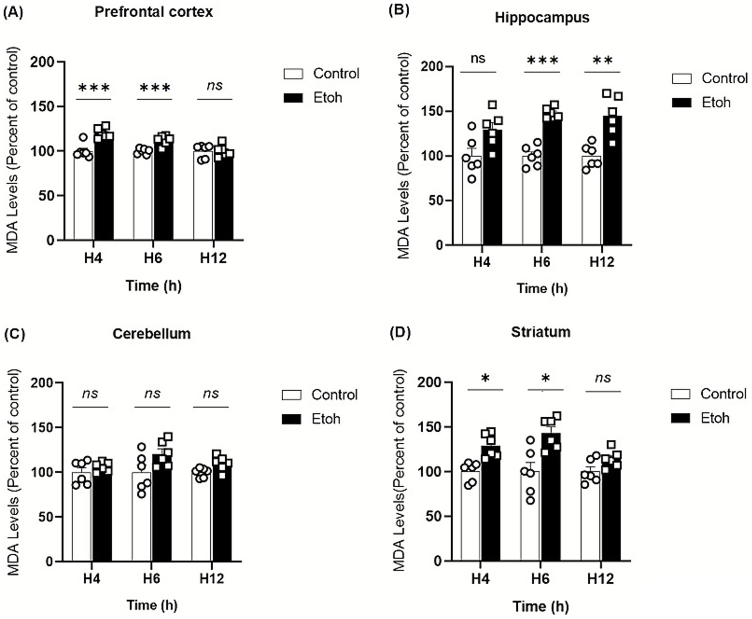 Bar graphs show MDA levels as a percentage of control across four brain regions: prefrontal cortex, hippocampus, cerebellum, and striatum, comparing control and ethanol (EtOH) groups over 4, 6, and 12 hours. Significant differences are noted with asterisks: prefrontal cortex at H4 and H6, hippocampus at H6 and H12, and striatum at H4 and H6. No significant differences are marked as "ns."
