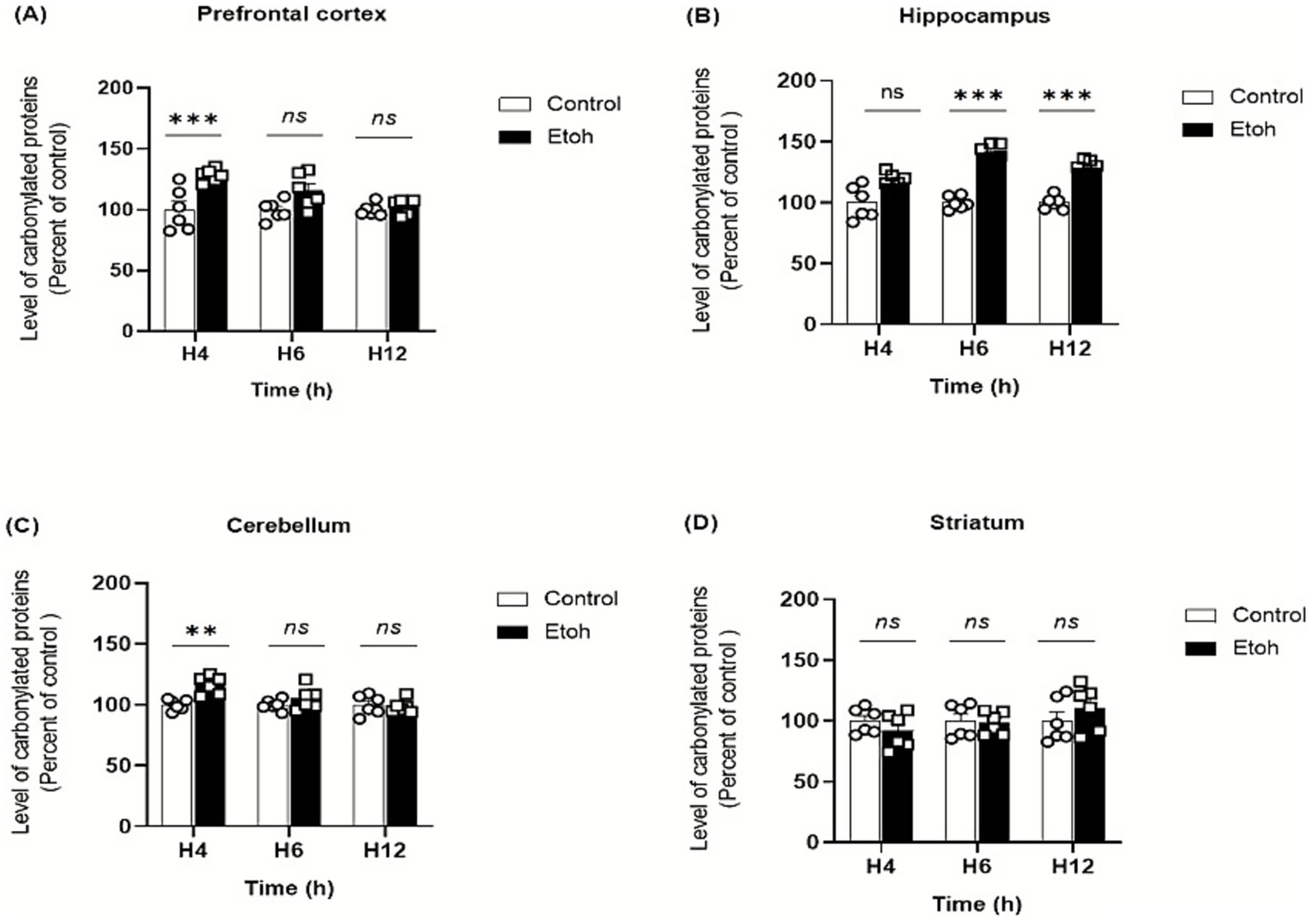 Bar graphs showing levels of carbonylated proteins in different brain regions: (A) Prefrontal cortex, (B) Hippocampus, (C) Cerebellum, (D) Striatum, at 4, 6, and 12 hours. Control and EtOH groups are compared. Significant differences are indicated with asterisks: Prefrontal cortex shows significant differences at 4 hours. Hippocampus shows significant differences at 6 and 12 hours. Cerebellum at 4 hours. Striatum shows no significant differences.