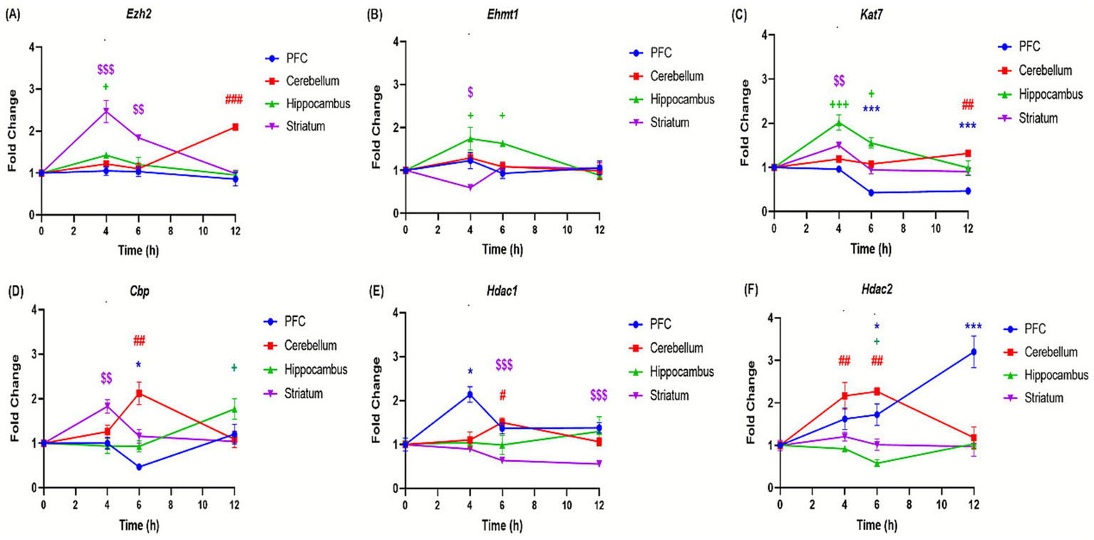 Six line graphs labeled A to F depict fold change over time for various genes in different brain regions, including PFC, Cerebellum, Hippocampus, and Striatum. Each graph shows unique patterns of change for the regions, indicated by differently colored lines and symbols, which denote statistical significance.