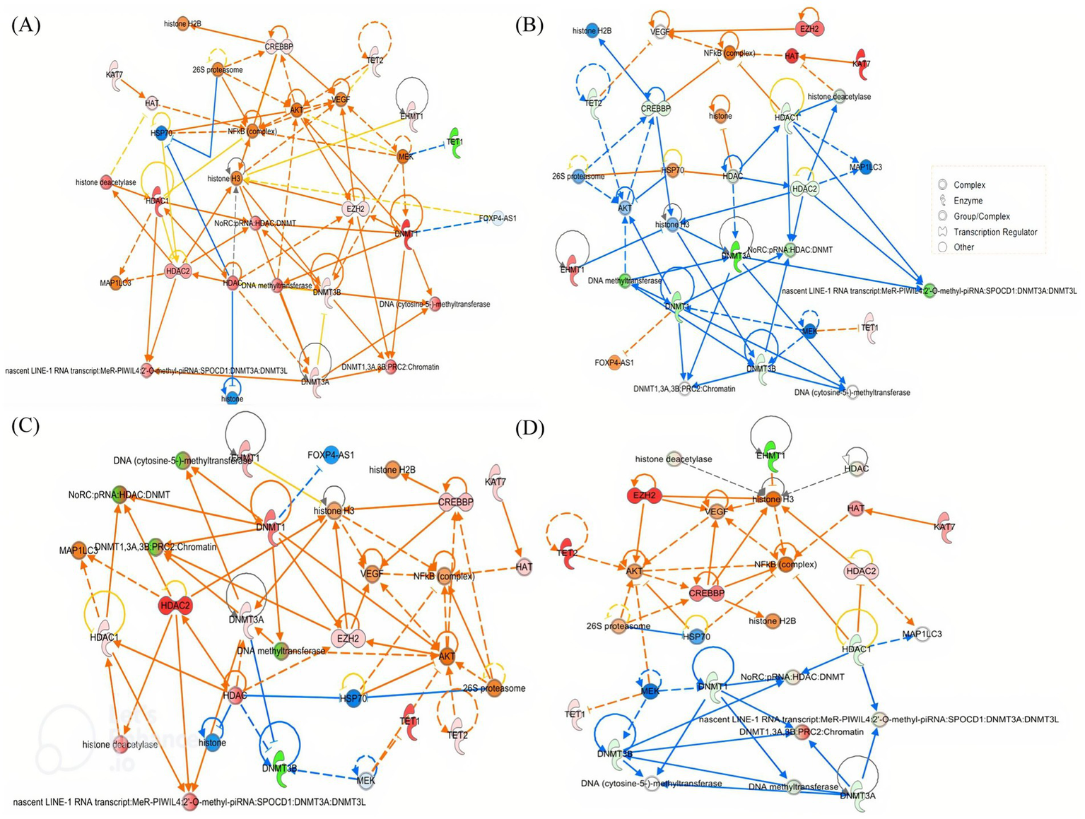 Four complex network diagrams labeled A, B, C, and D, illustrating interactions among biological entities. Each diagram uses color-coded circles connected by arrows, depicting relationships between complexes, enzymes, groups/complexes, transcription regulators, and others. The key on diagram B shows symbols used for different categories: circles, dotted circles, and arrows of varied colors represent types of interactions, highlighting complex biological processes.